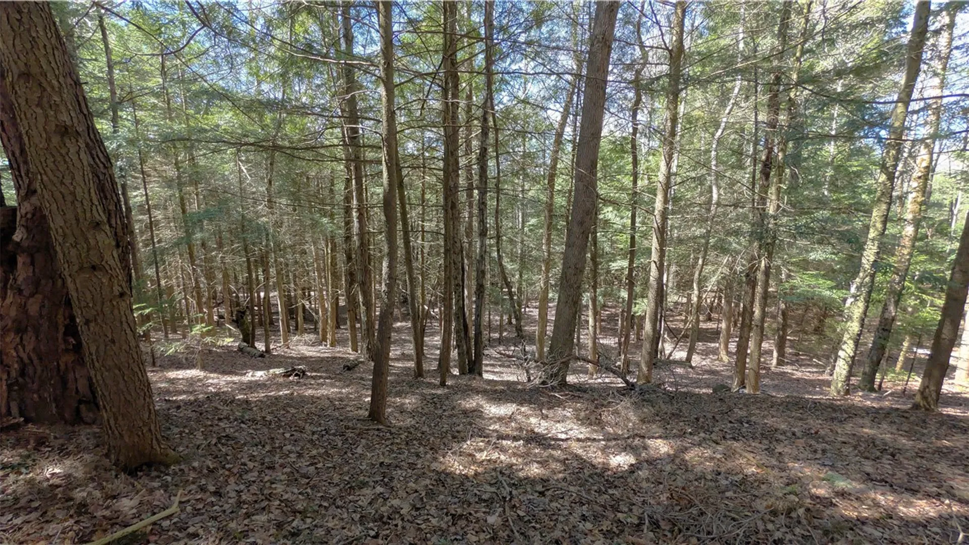 Property at 245 Woodchuck Run, Summit, NY 12093 33