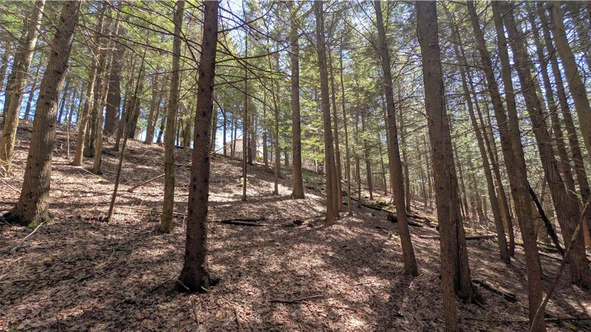 Property at 245 Woodchuck Run, Summit, NY 12093 34