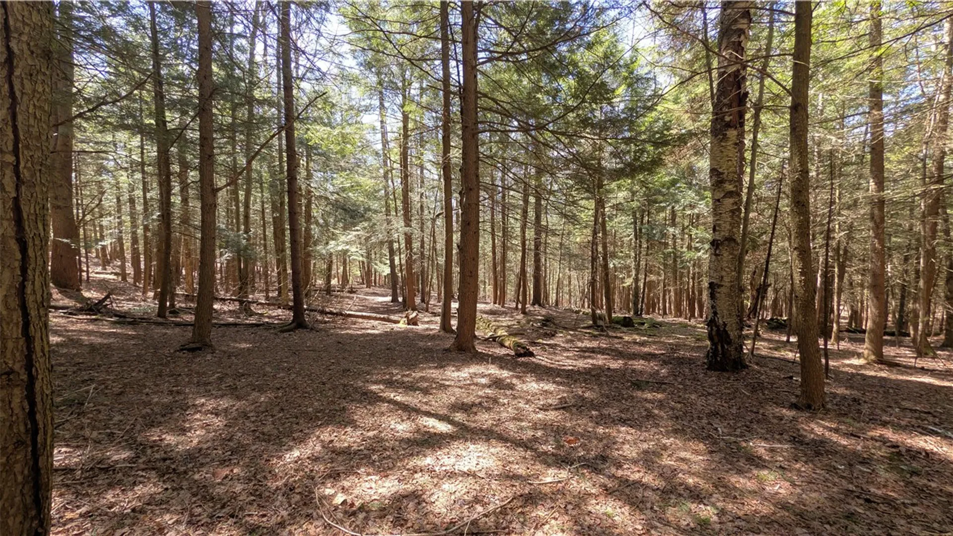 Property at 245 Woodchuck Run, Summit, NY 12093 35