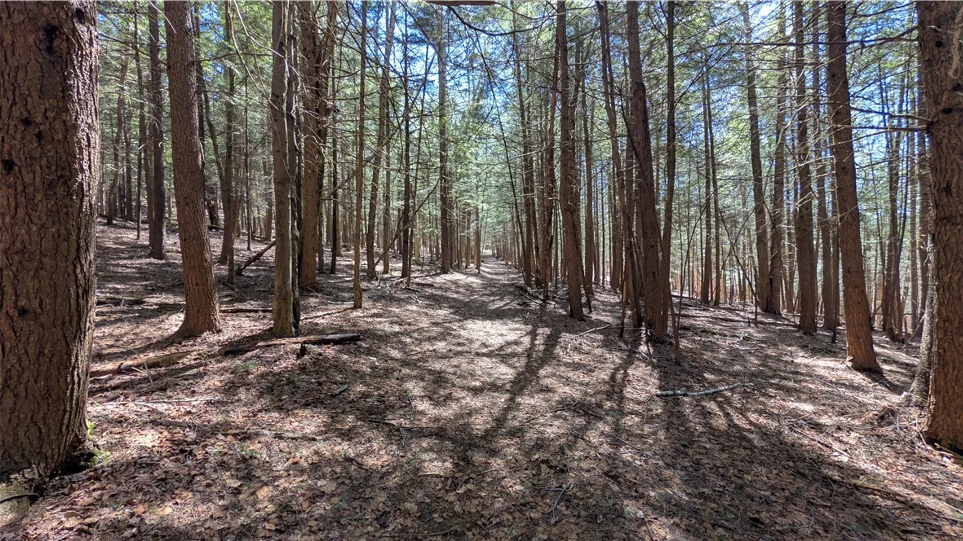 Property at 245 Woodchuck Run, Summit, NY 12093 36