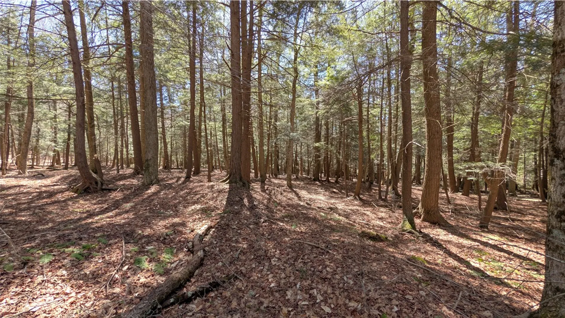 Property at 245 Woodchuck Run, Summit, NY 12093 37