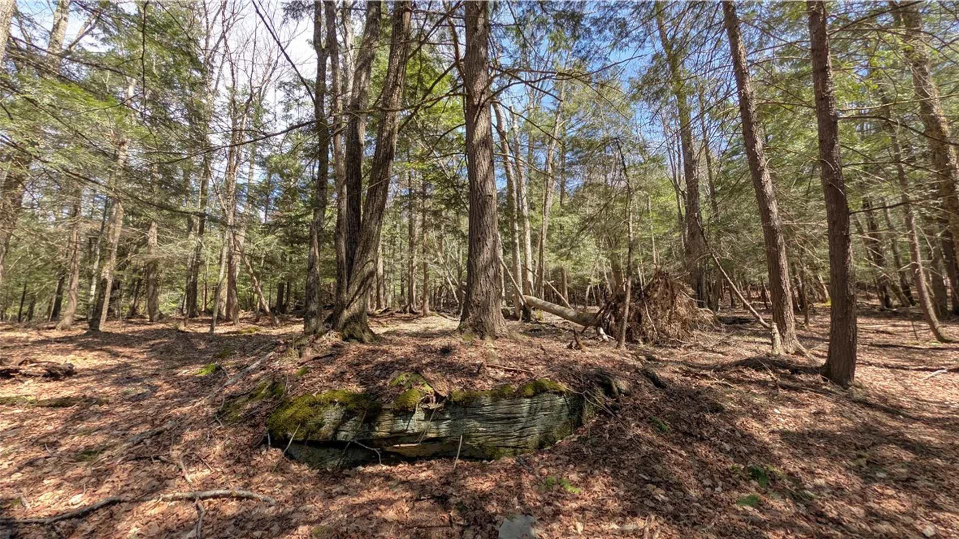 Property at 245 Woodchuck Run, Summit, NY 12093 38