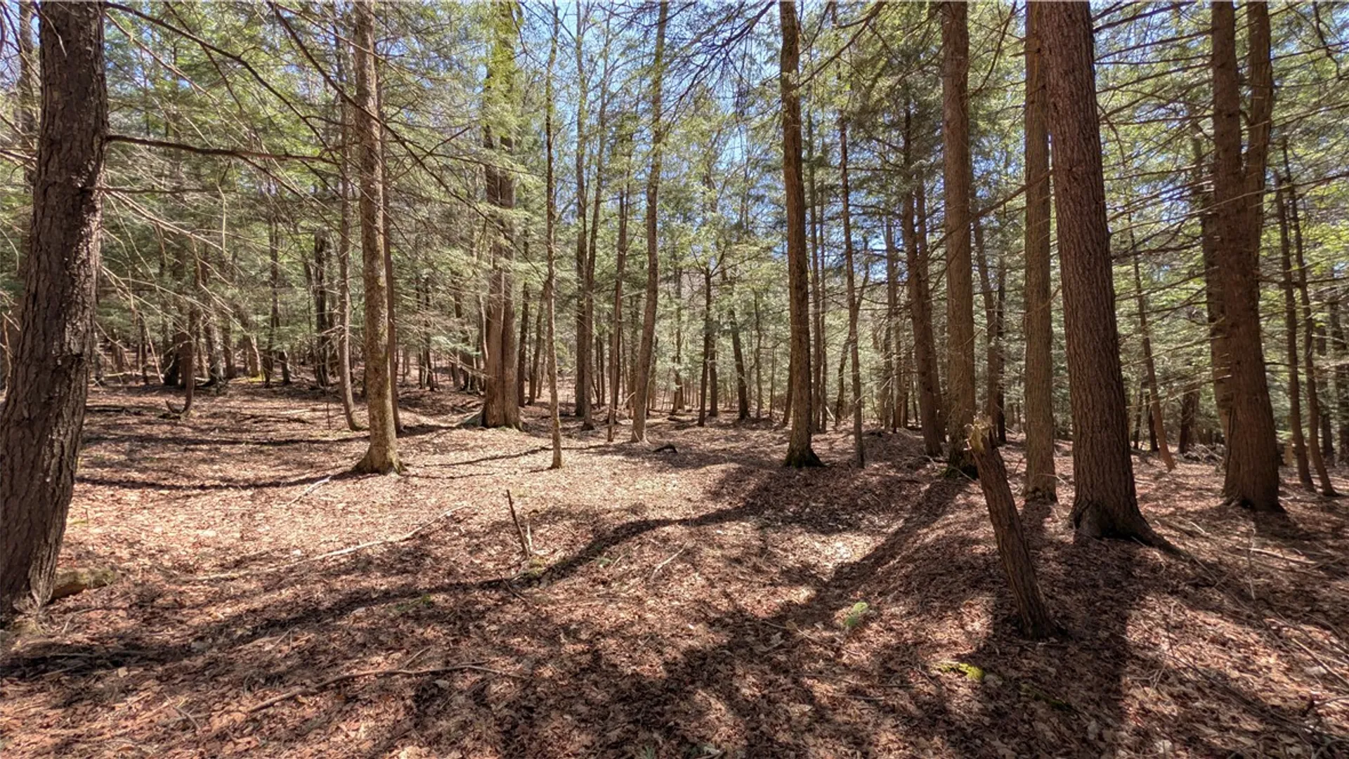 Property at 245 Woodchuck Run, Summit, NY 12093 39