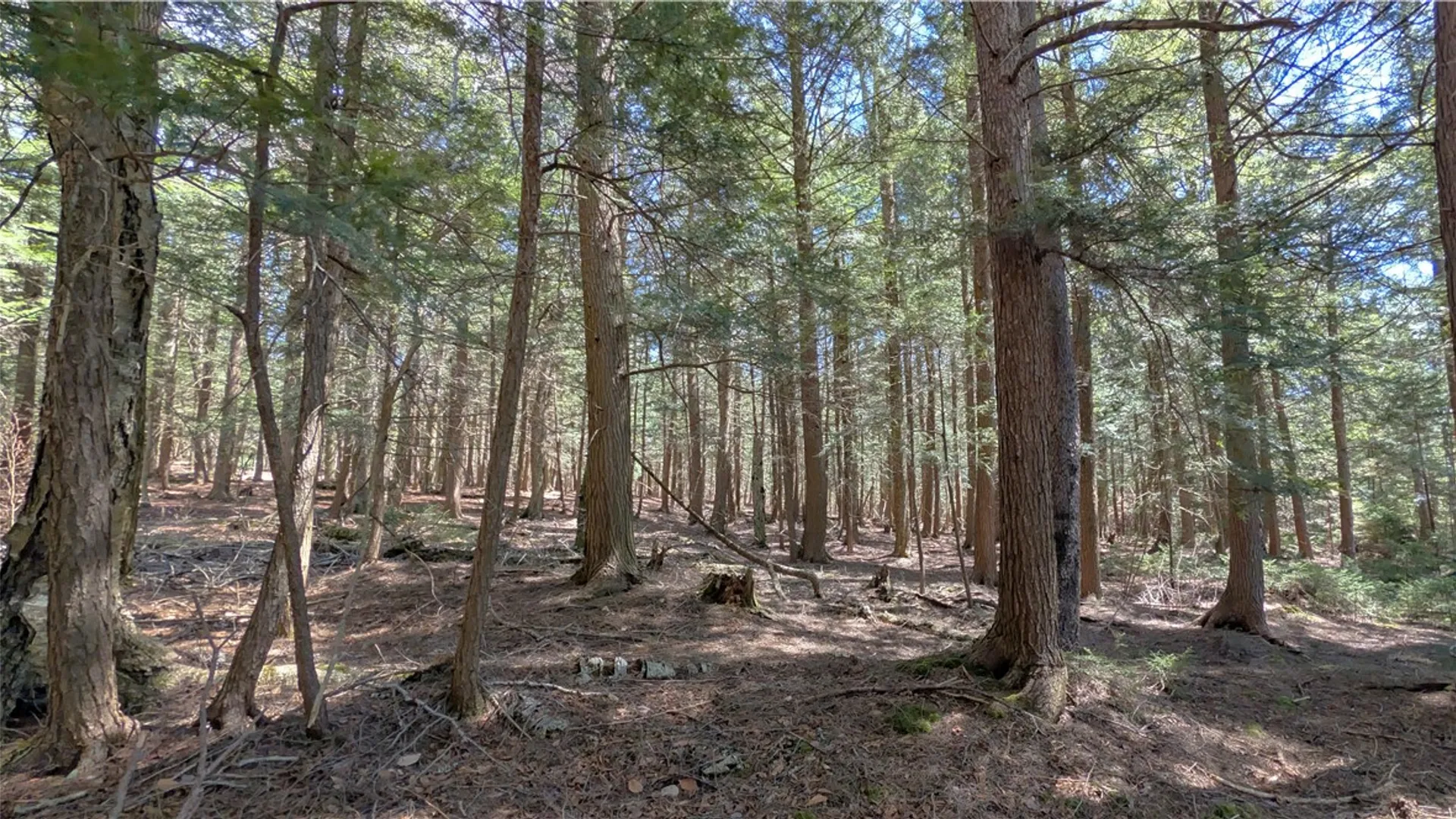 Property at 245 Woodchuck Run, Summit, NY 12093 40