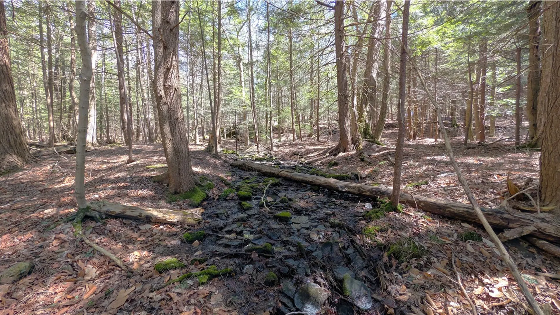 Property at 245 Woodchuck Run, Summit, NY 12093 41