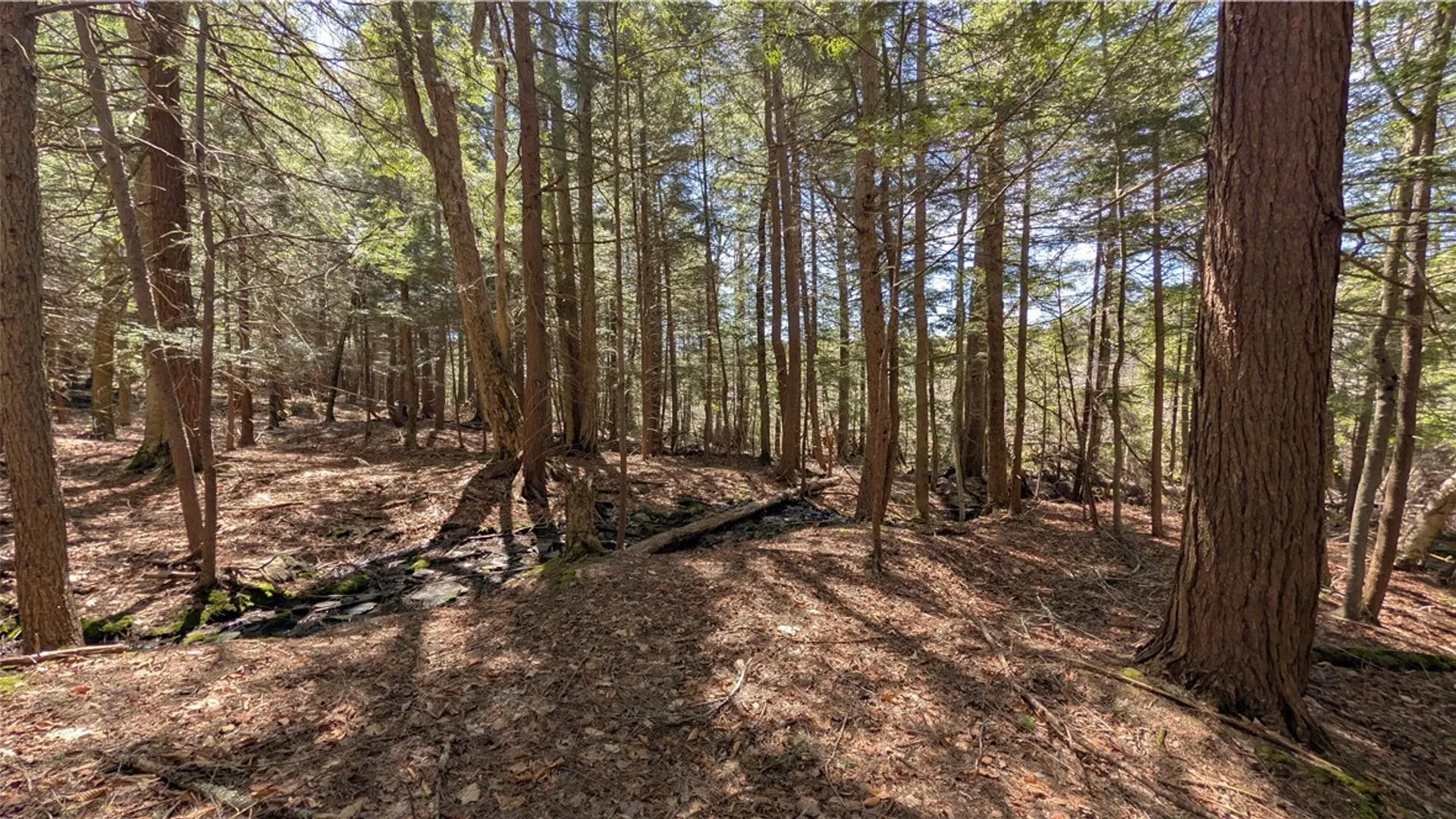 Property at 245 Woodchuck Run, Summit, NY 12093 42