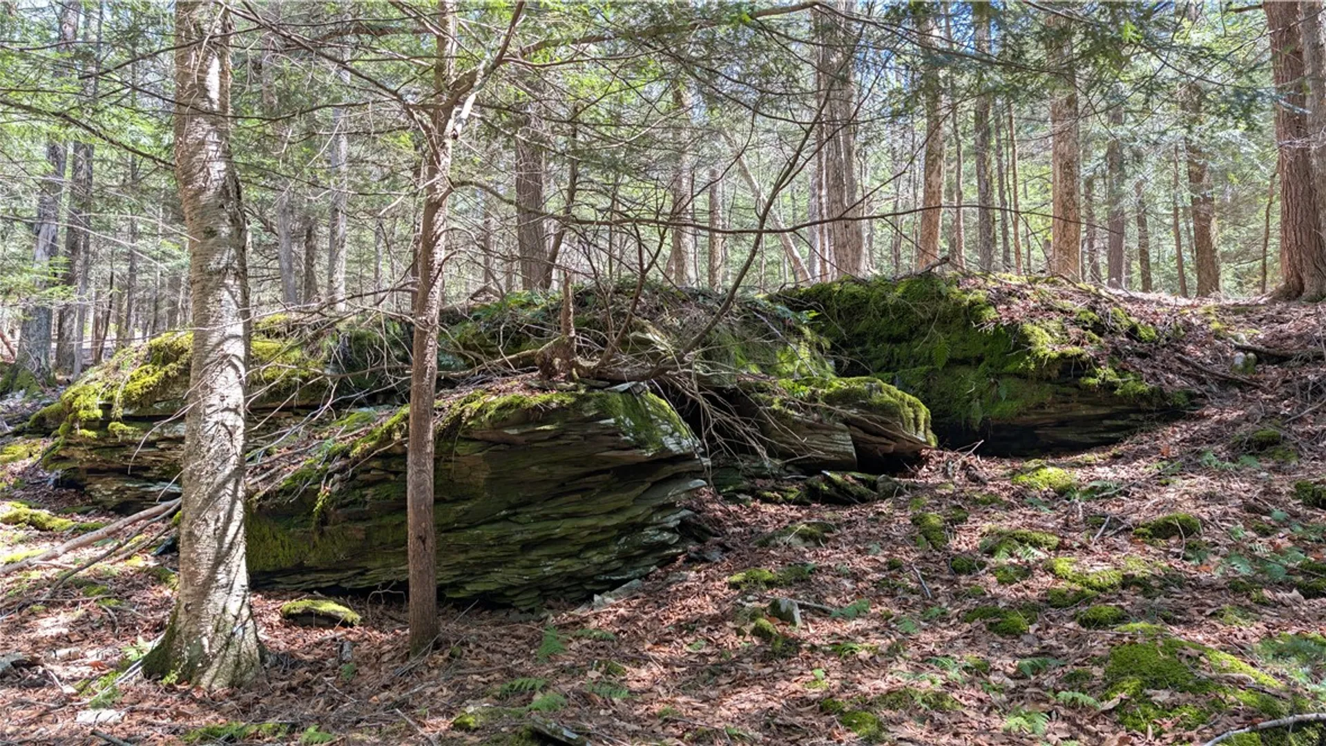 Property at 245 Woodchuck Run, Summit, NY 12093 43