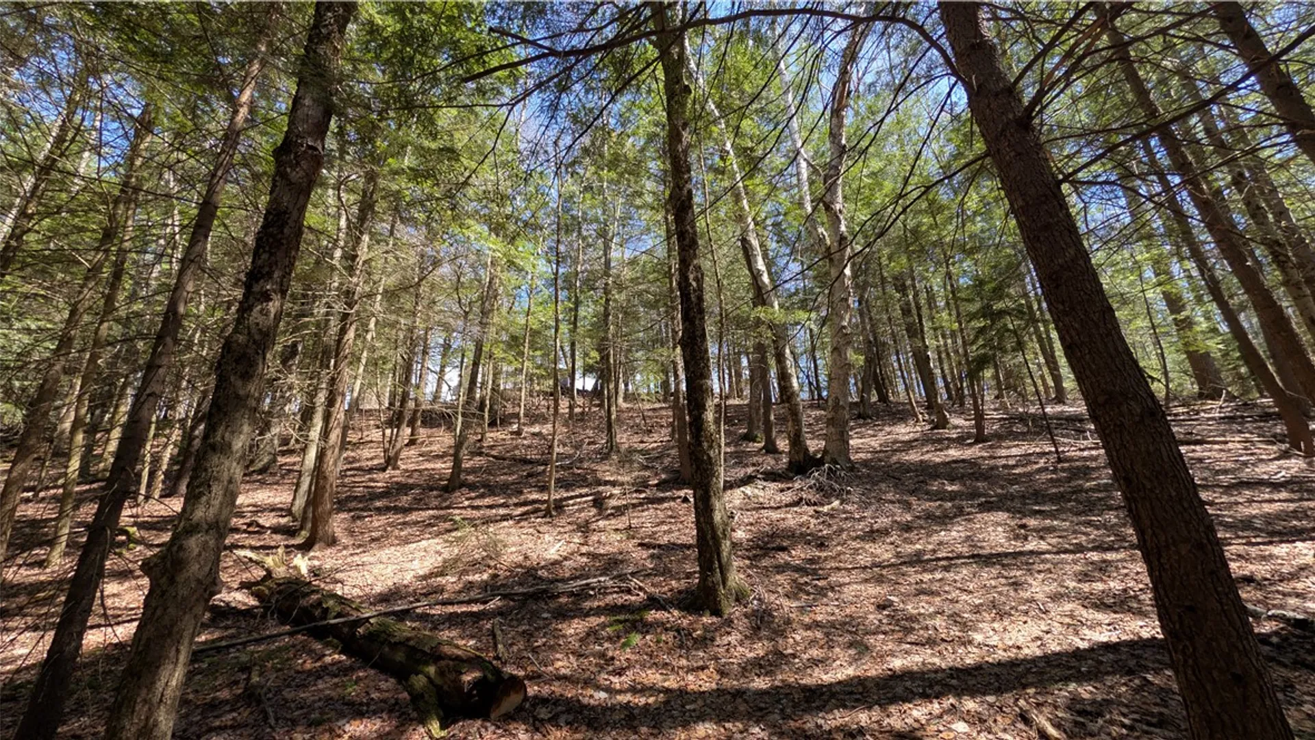 Property at 245 Woodchuck Run, Summit, NY 12093 44