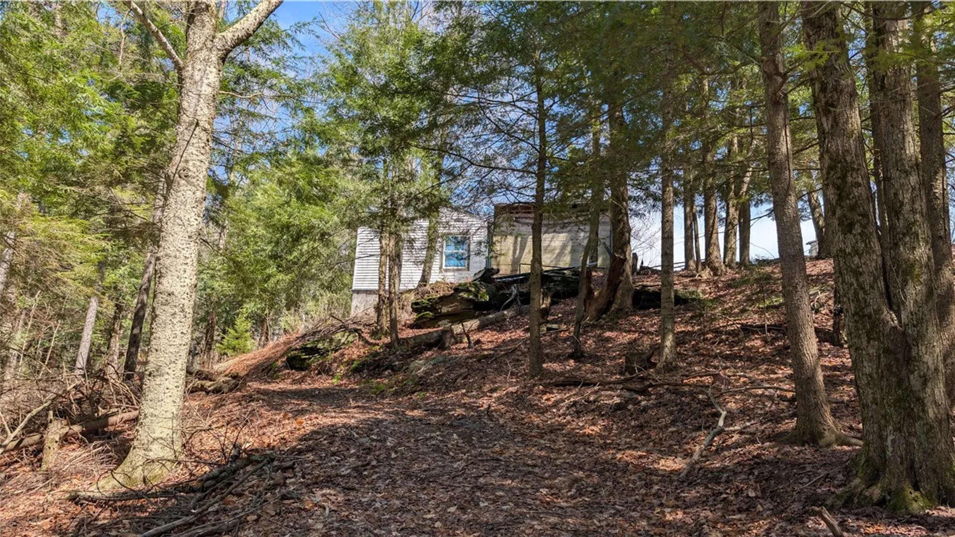 Property at 245 Woodchuck Run, Summit, NY 12093 45