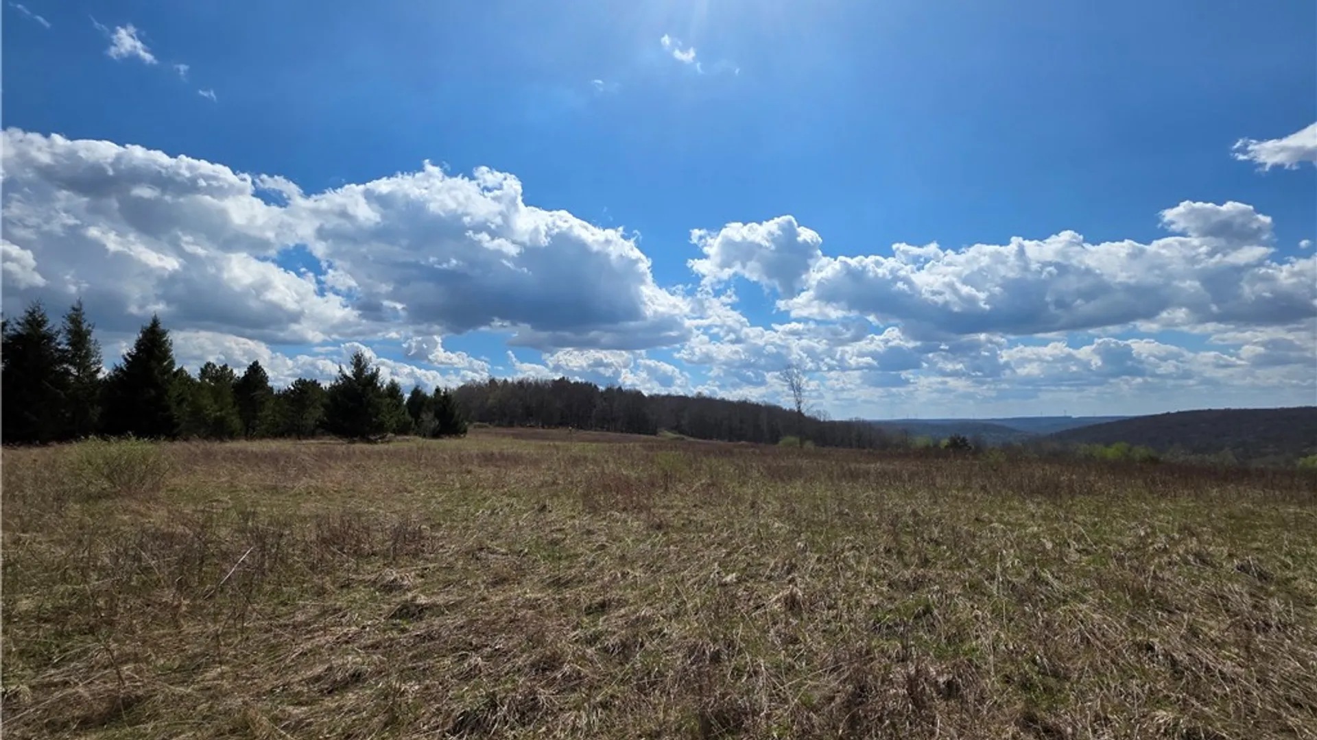 Property at 2542 Norton Hollow Road, Jasper, NY 14823 4