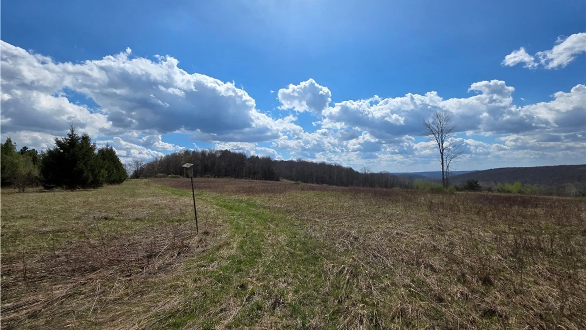 Property at 2542 Norton Hollow Road, Jasper, NY 14823 6