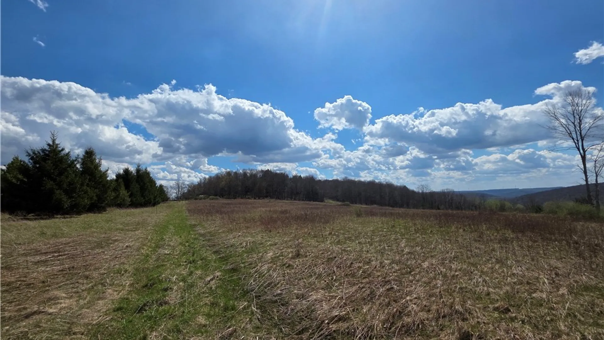 Property at 2542 Norton Hollow Road, Jasper, NY 14823 7
