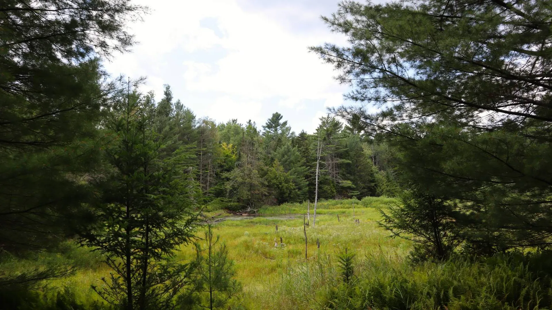 Property at 190 Crane Mountain Rd, Johnsburg, NY 12843 19