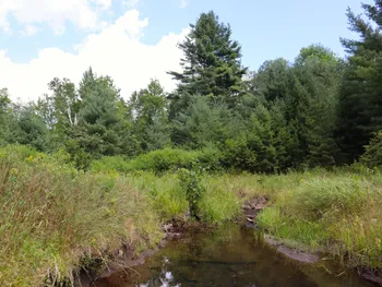Property at 190 Crane Mountain Rd, Johnsburg, NY 12843