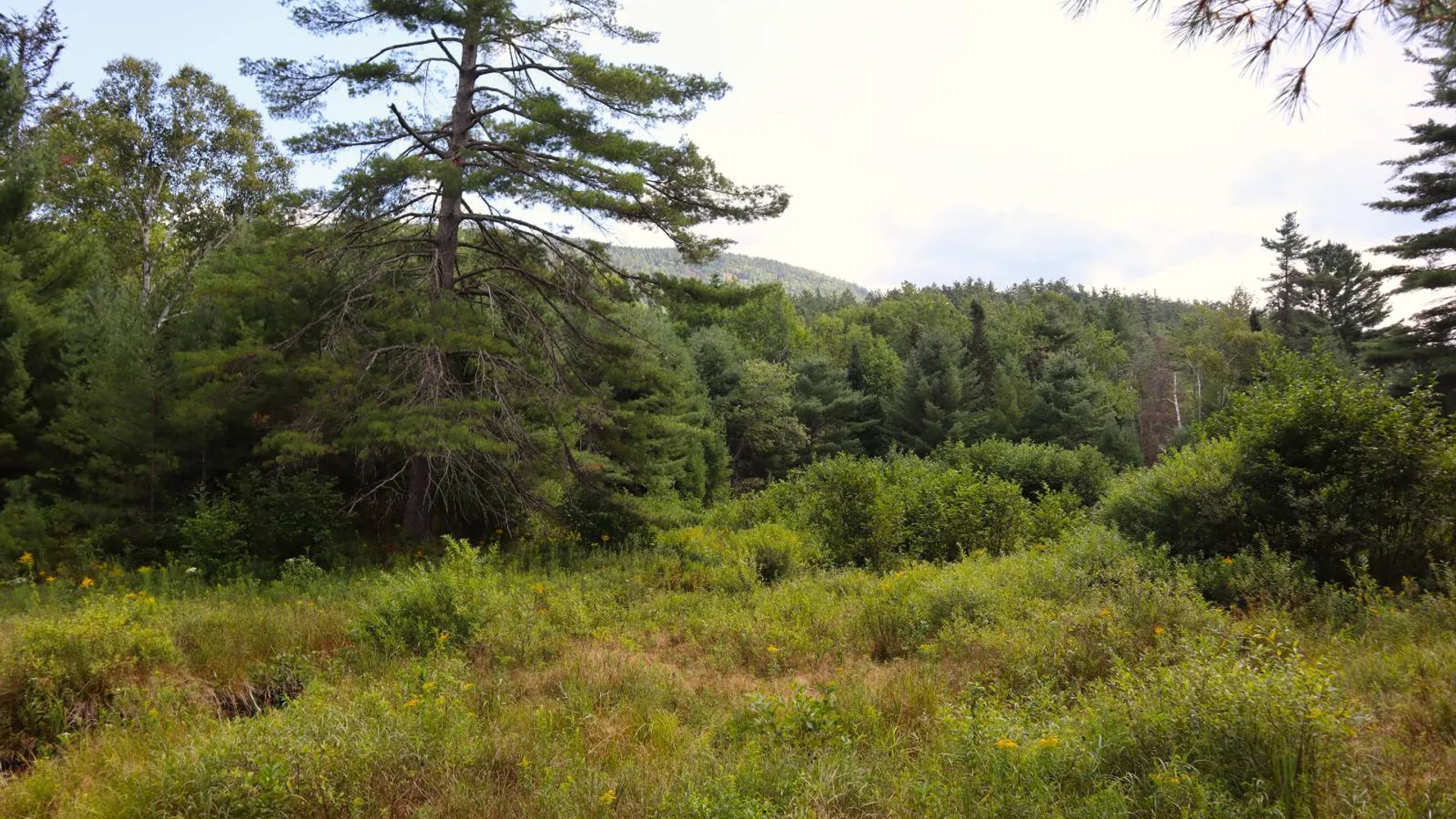 Property at 190 Crane Mountain Rd, Johnsburg, NY 12843 2