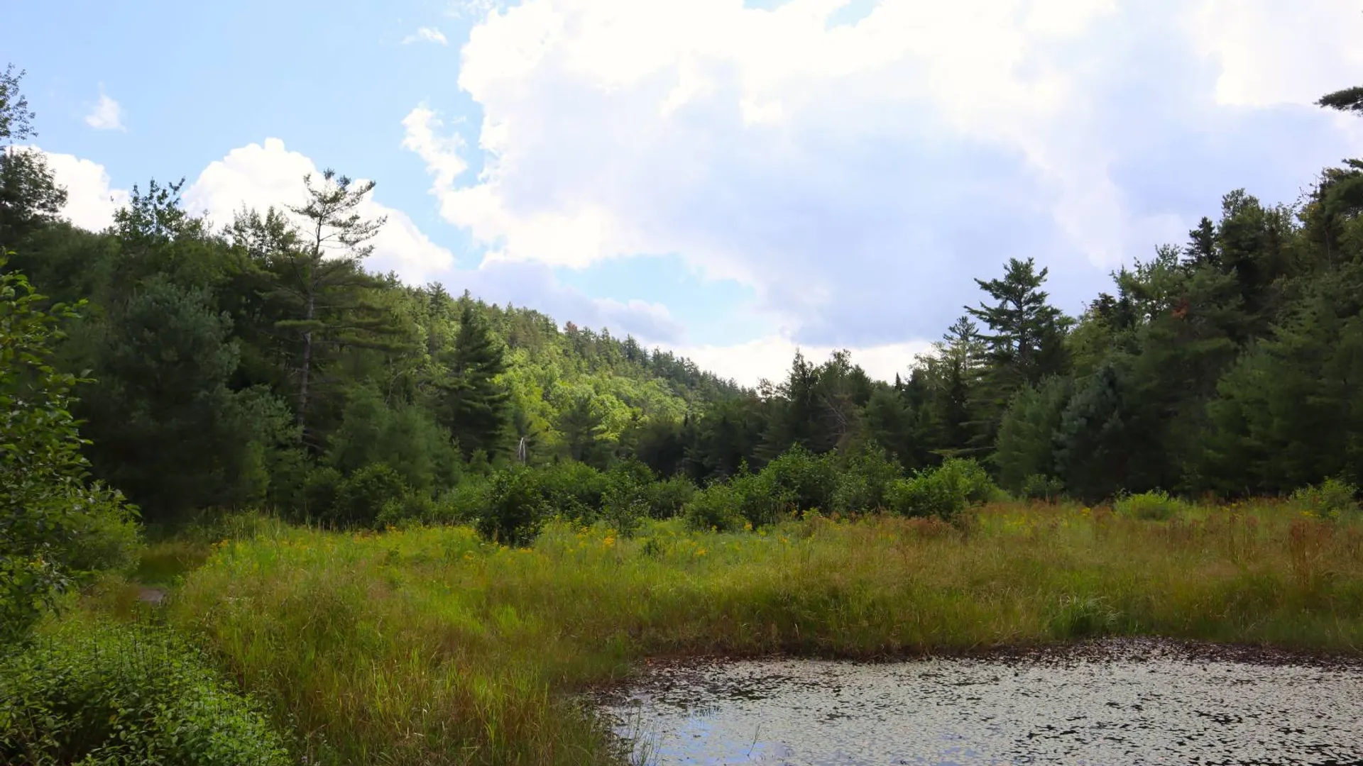 Property at 190 Crane Mountain Rd, Johnsburg, NY 12843 22