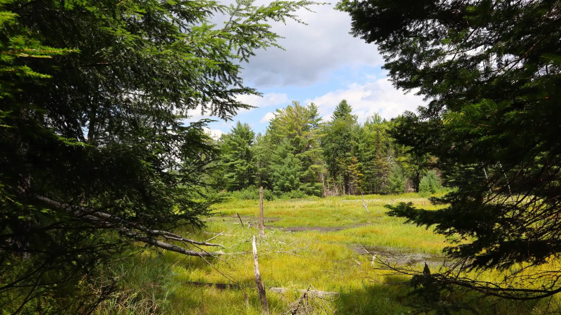 Property at 190 Crane Mountain Rd, Johnsburg, NY 12843 23
