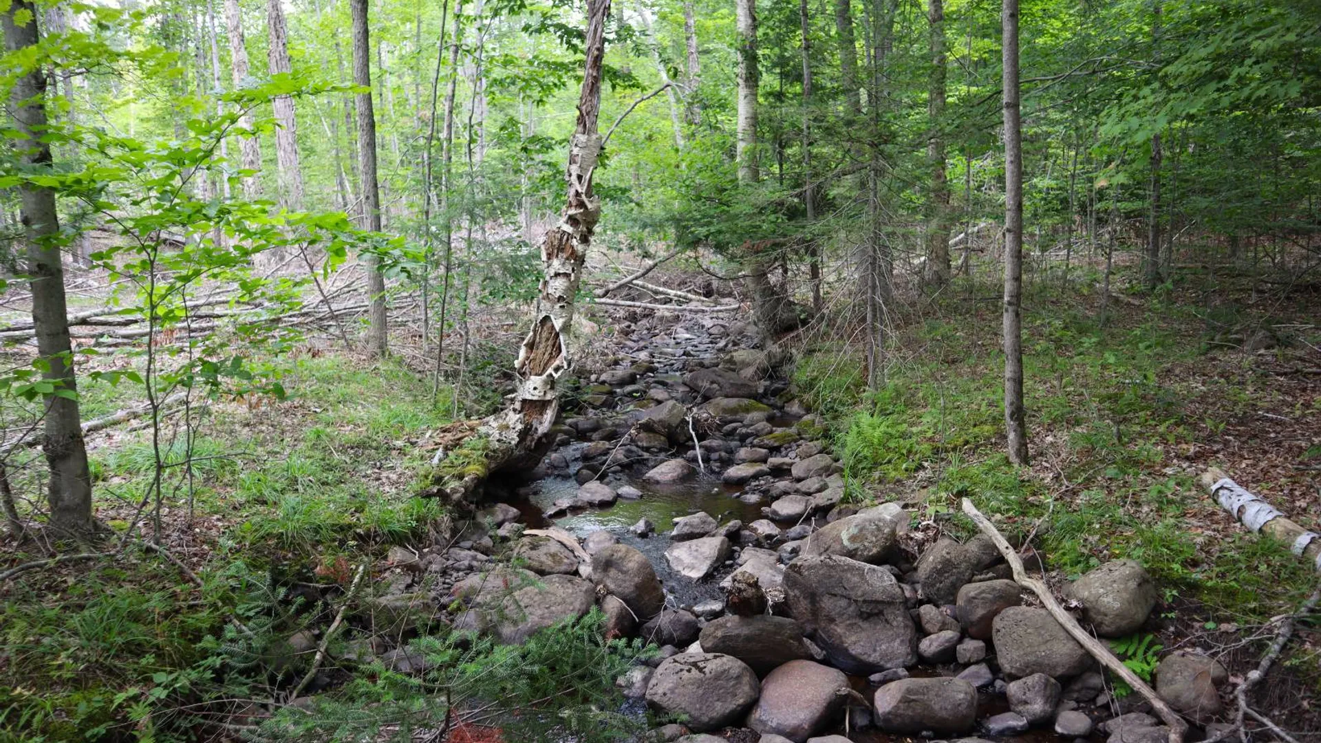 Property at 190 Crane Mountain Rd, Johnsburg, NY 12843 24