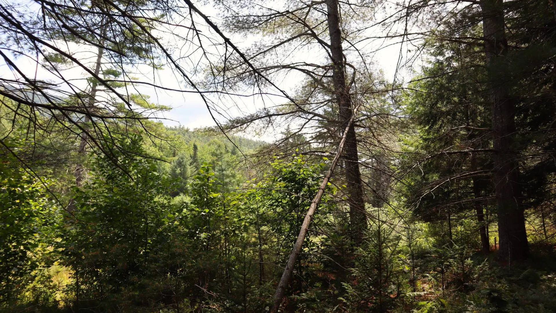 Property at 190 Crane Mountain Rd, Johnsburg, NY 12843 8