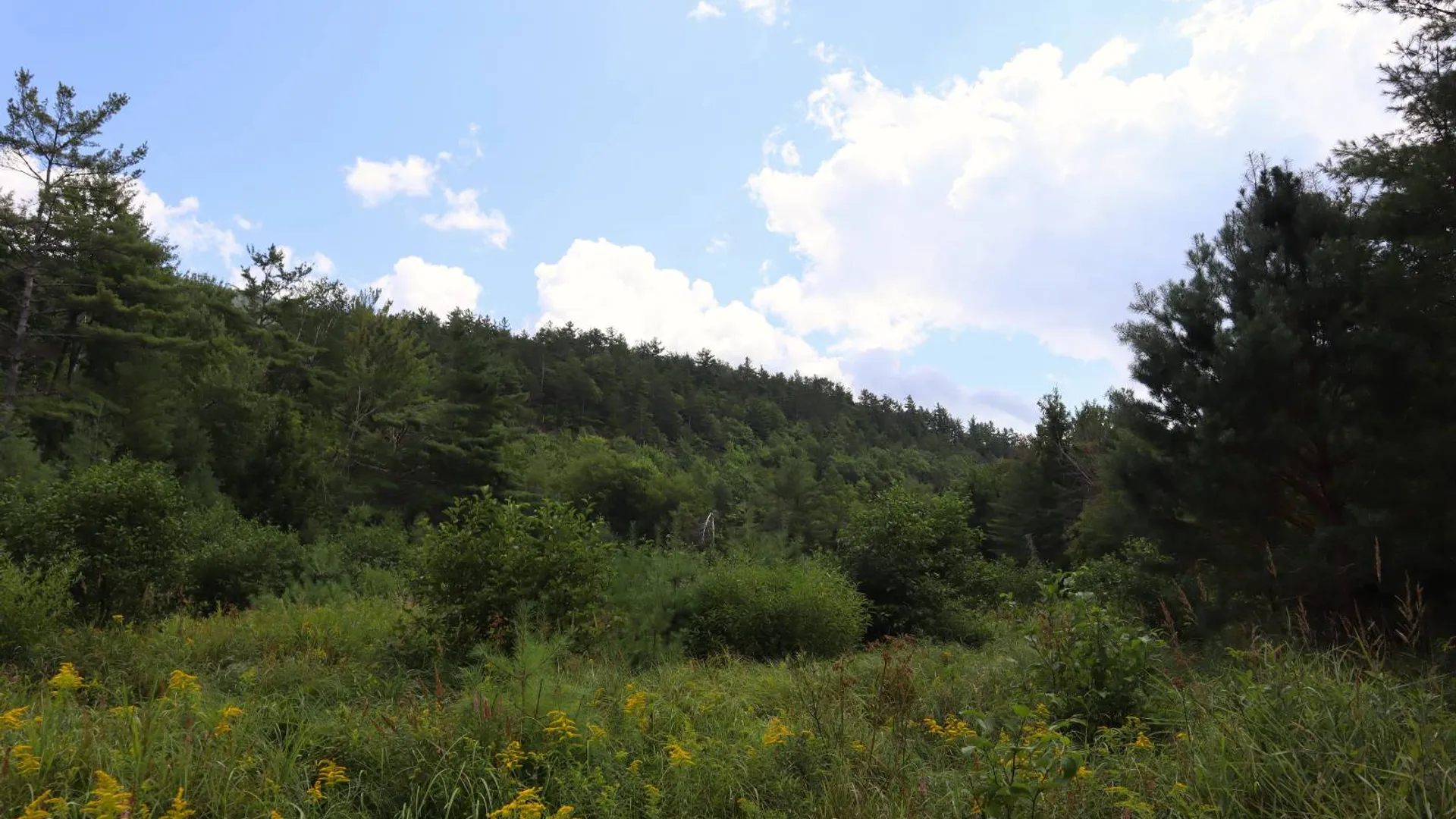 Property at 190 Crane Mountain Rd, Johnsburg, NY 12843 9