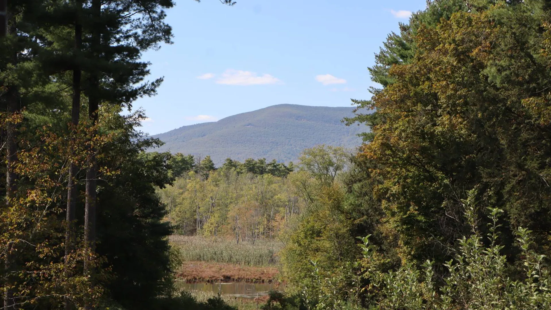 Property at 132 Dutchtown Road, Saugerties, NY 12477 37