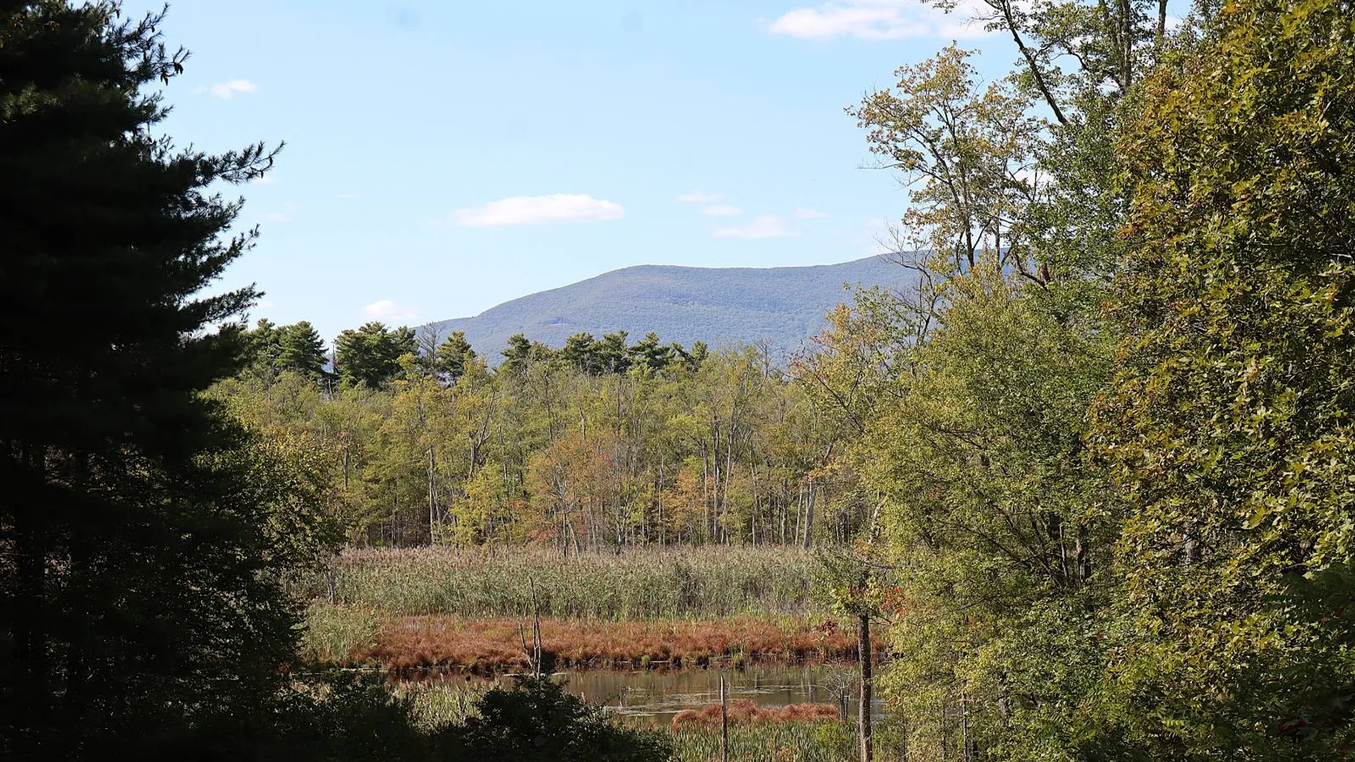 Property at 132 Dutchtown Road, Saugerties, NY 12477 4