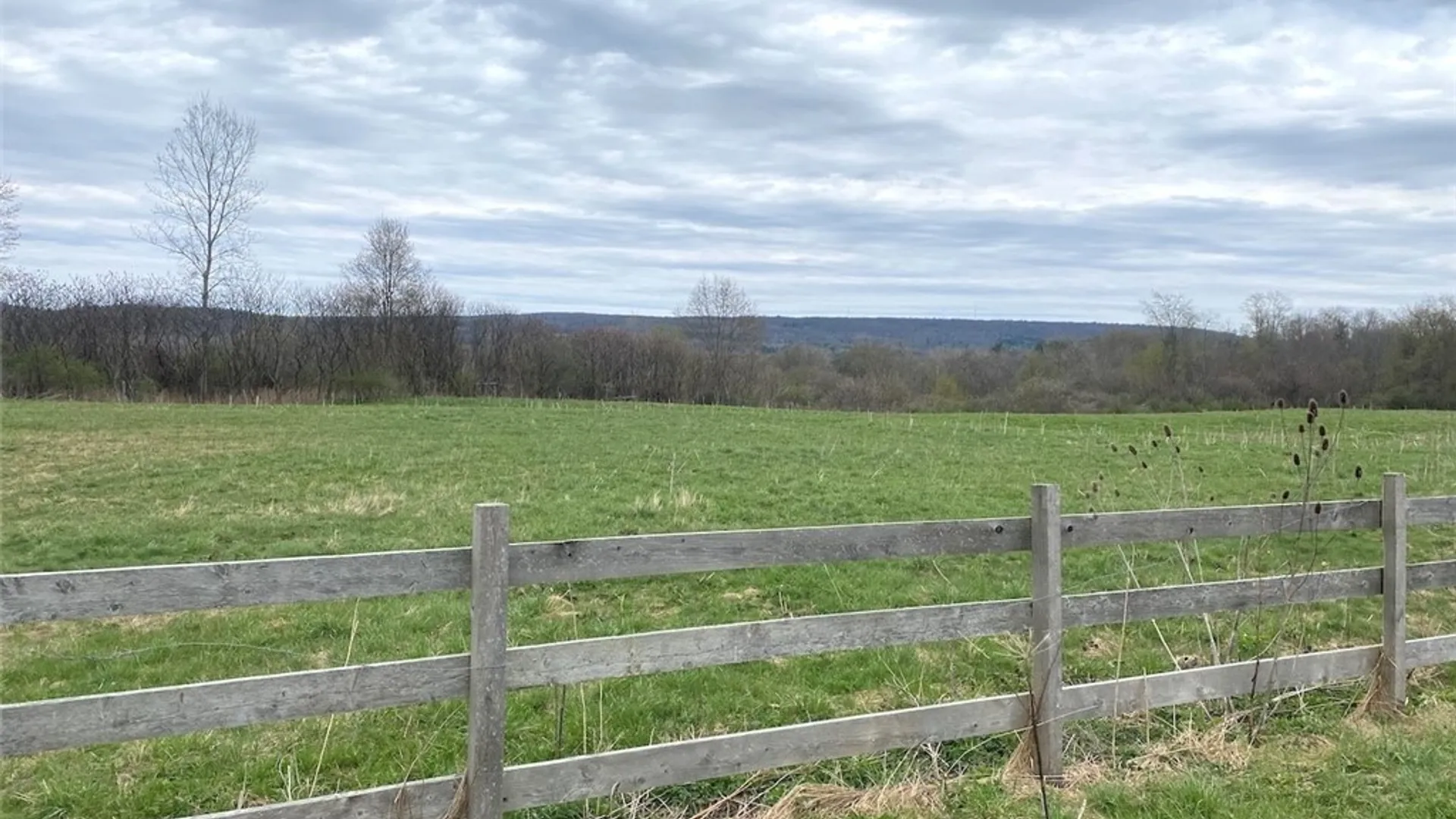 Property at 6693 Route 305, Belfast, NY 14711 35