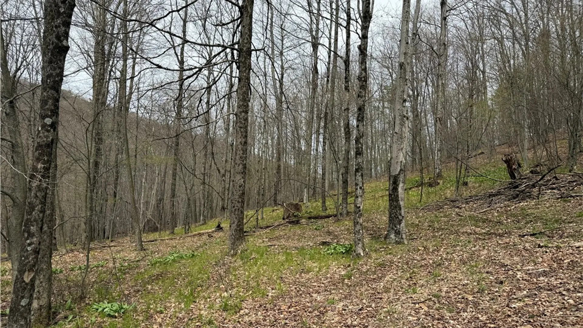 Property at 0 County Route 9, Prattsburgh, NY 14873 10