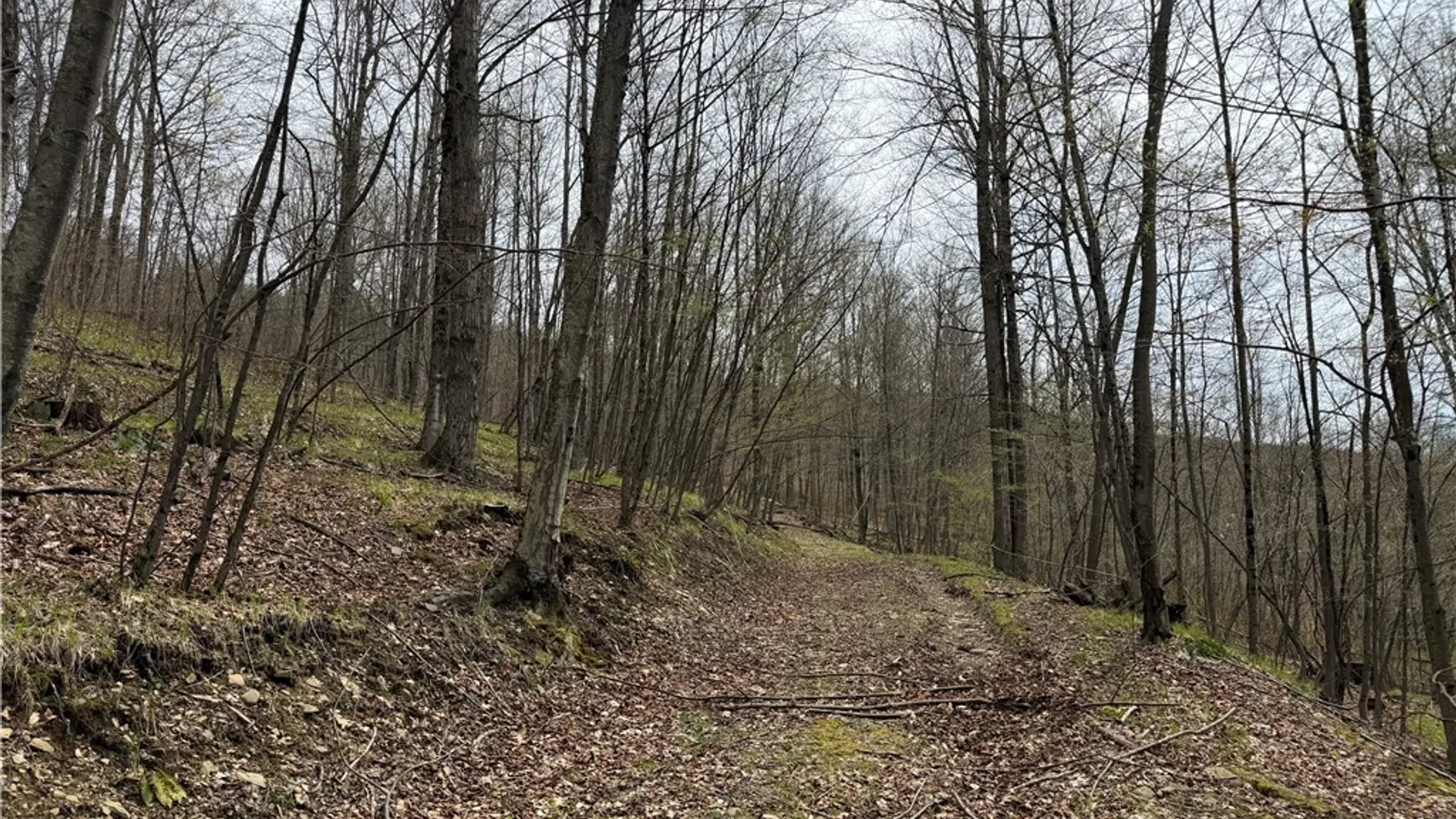 Property at 0 County Route 9, Prattsburgh, NY 14873 11