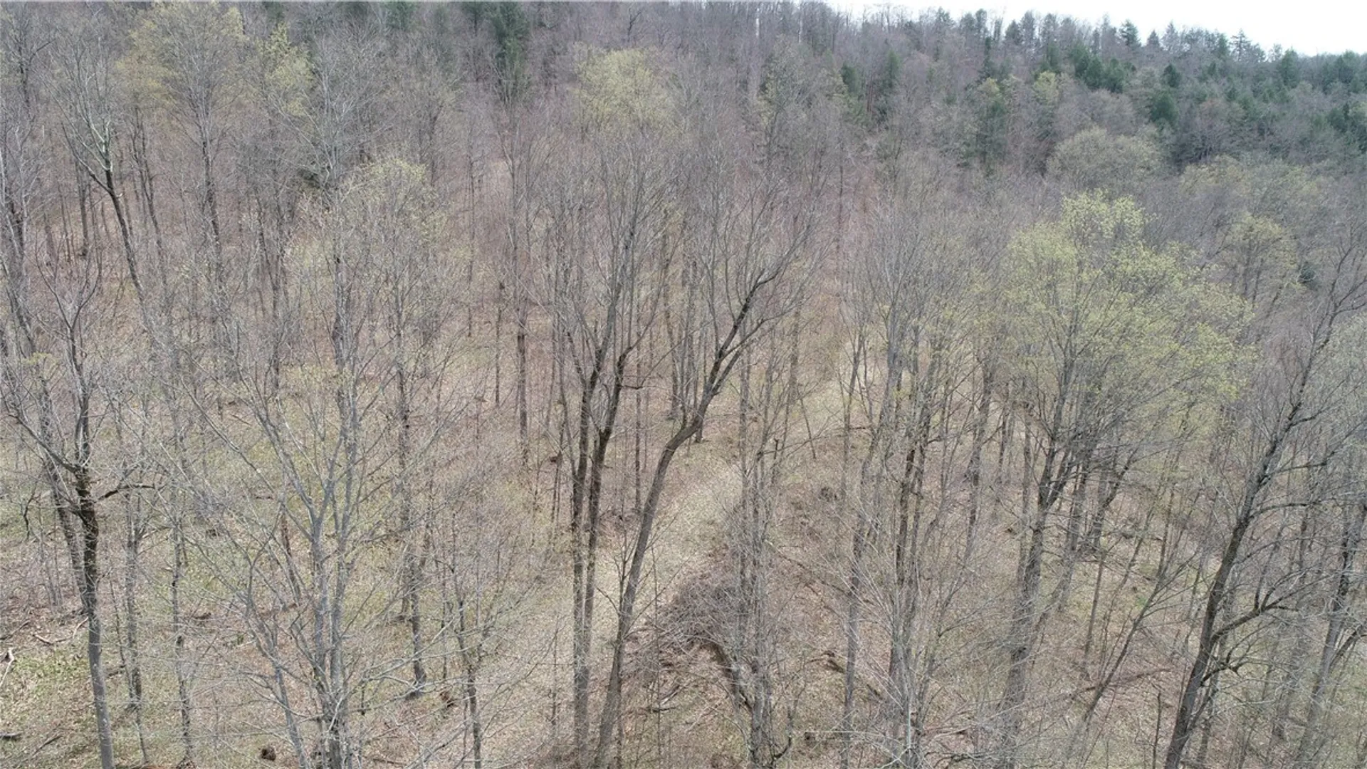 Property at 0 County Route 9, Prattsburgh, NY 14873 13