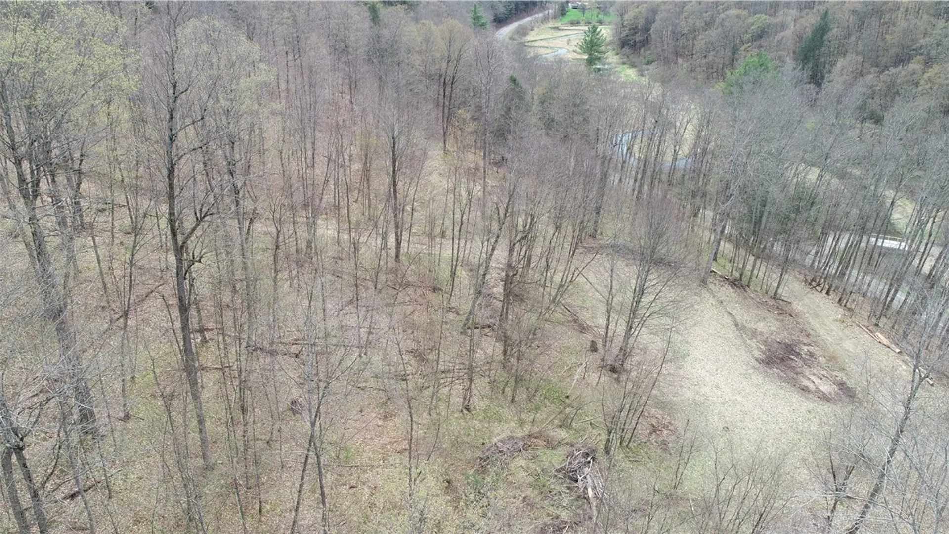 Property at 0 County Route 9, Prattsburgh, NY 14873 14