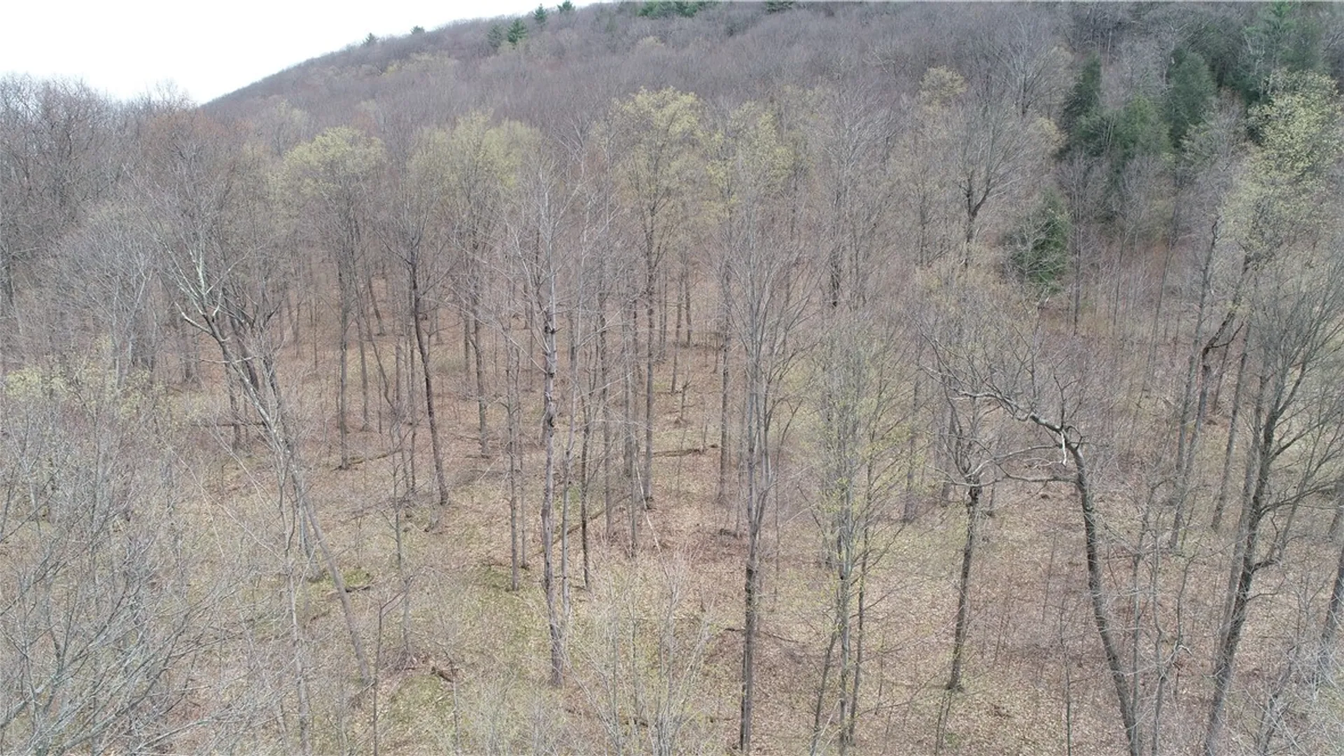 Property at 0 County Route 9, Prattsburgh, NY 14873 15