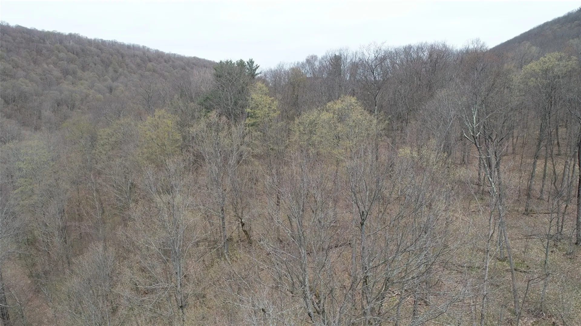 Property at 0 County Route 9, Prattsburgh, NY 14873 16