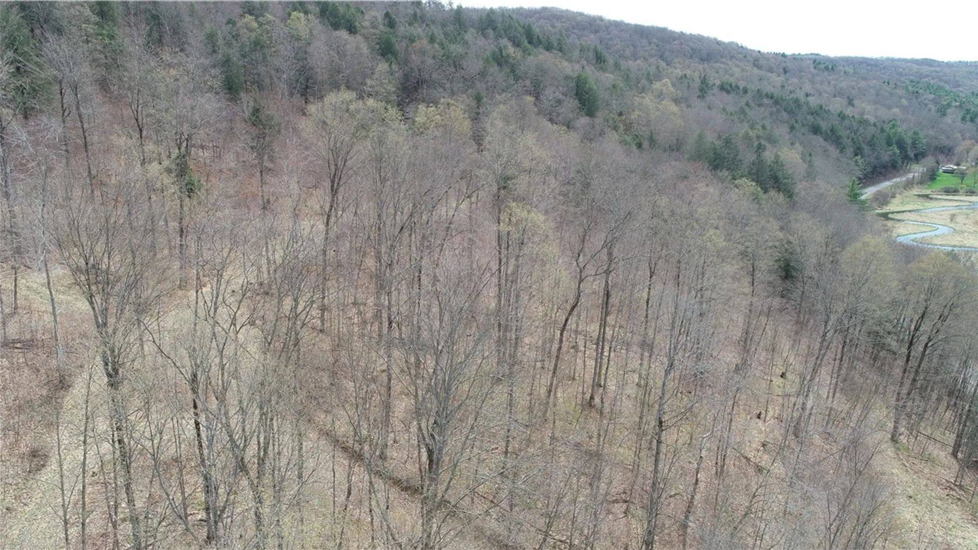 Property at 0 County Route 9, Prattsburgh, NY 14873 17