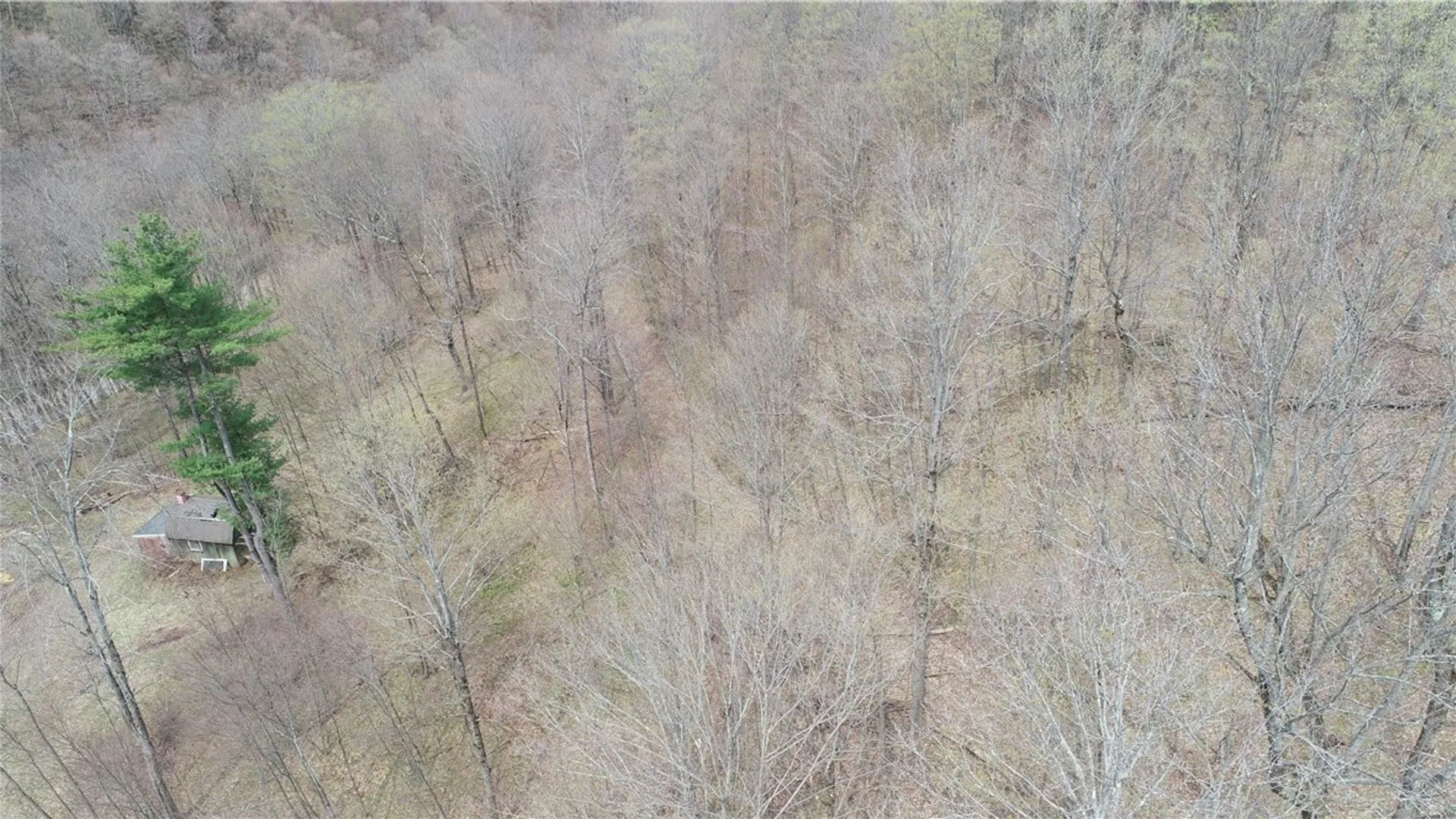 Property at 0 County Route 9, Prattsburgh, NY 14873 18