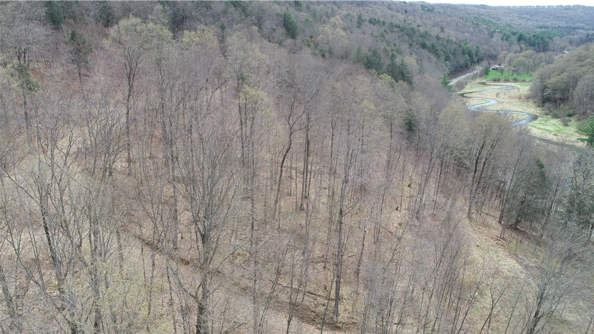 Property at 0 County Route 9, Prattsburgh, NY 14873 2