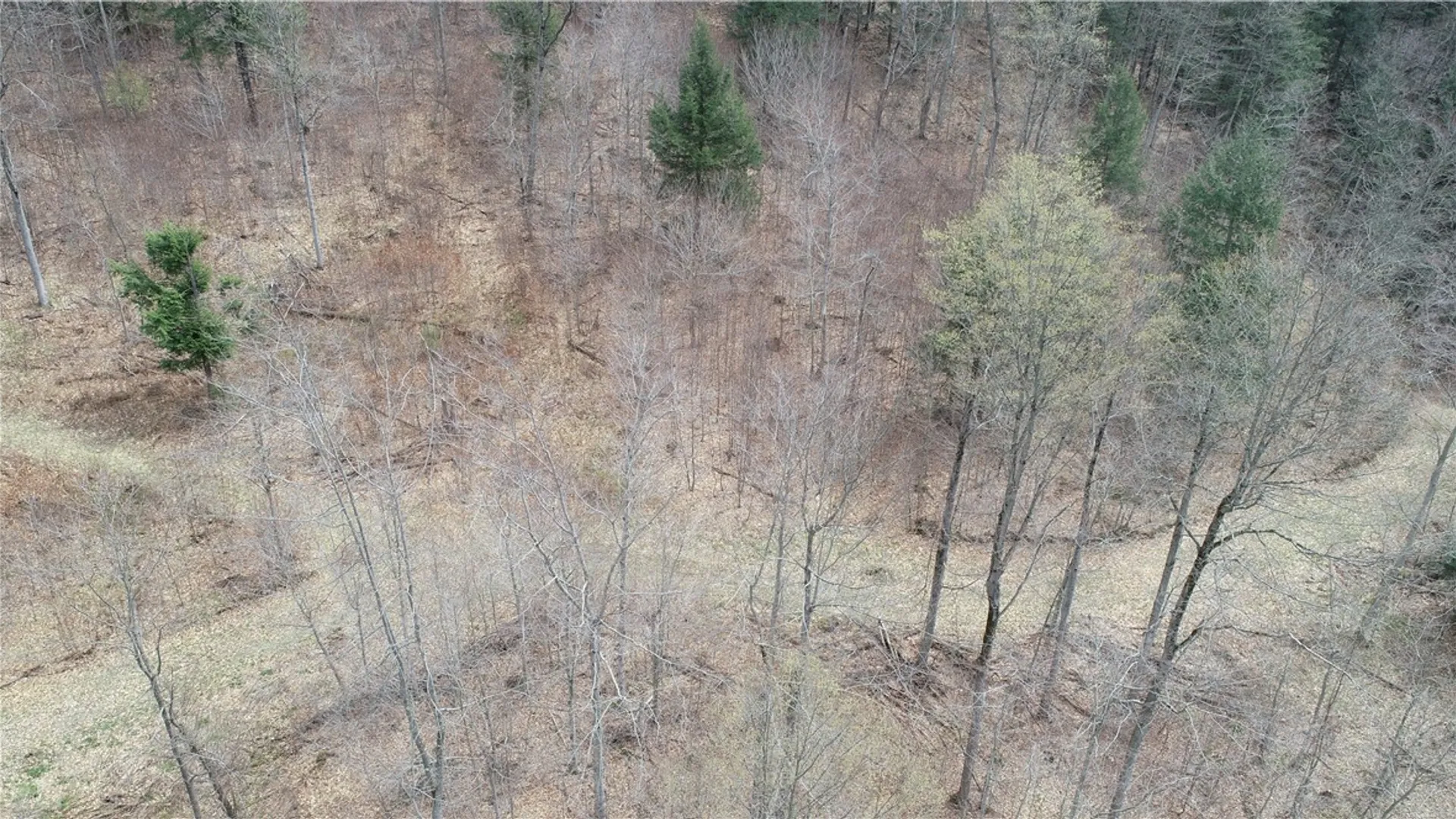 Property at 0 County Route 9, Prattsburgh, NY 14873 22