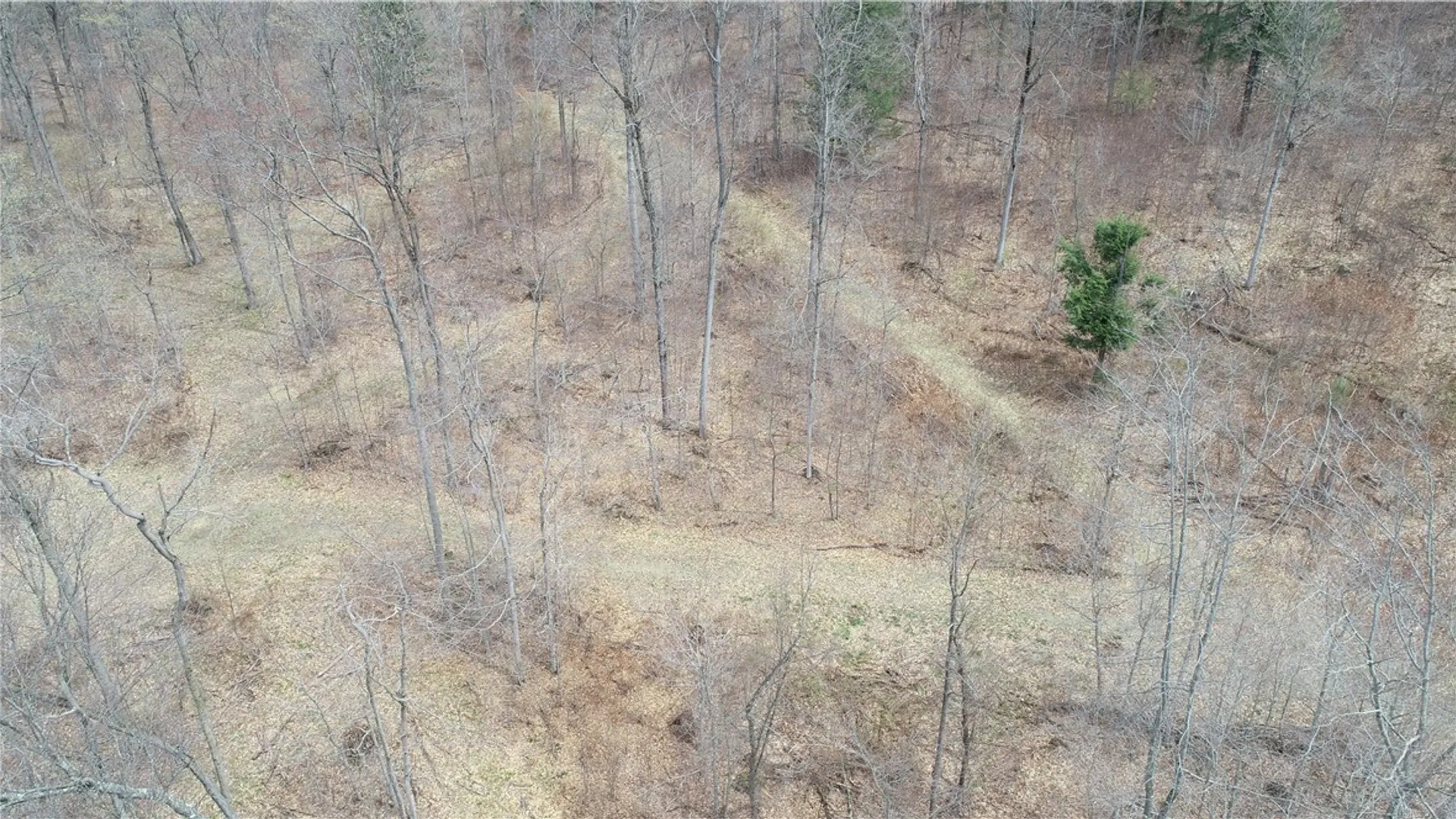 Property at 0 County Route 9, Prattsburgh, NY 14873 23