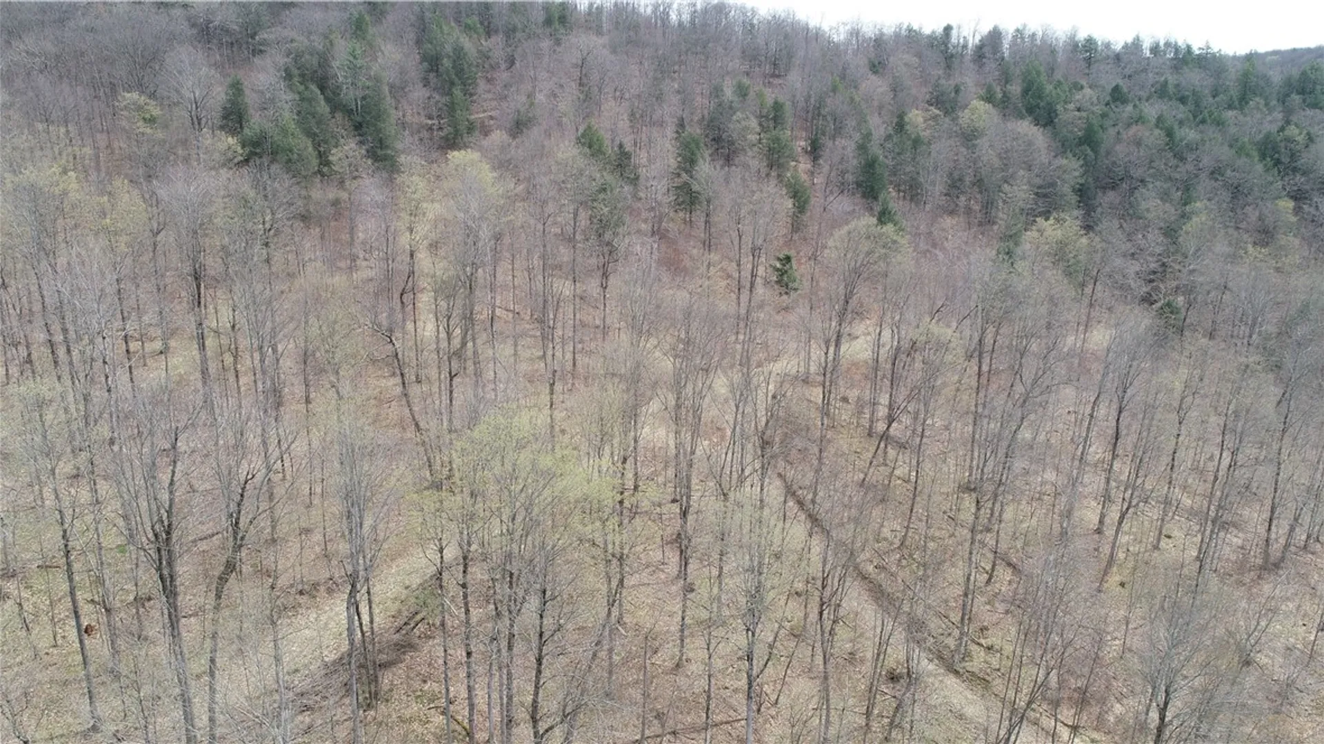 Property at 0 County Route 9, Prattsburgh, NY 14873 25