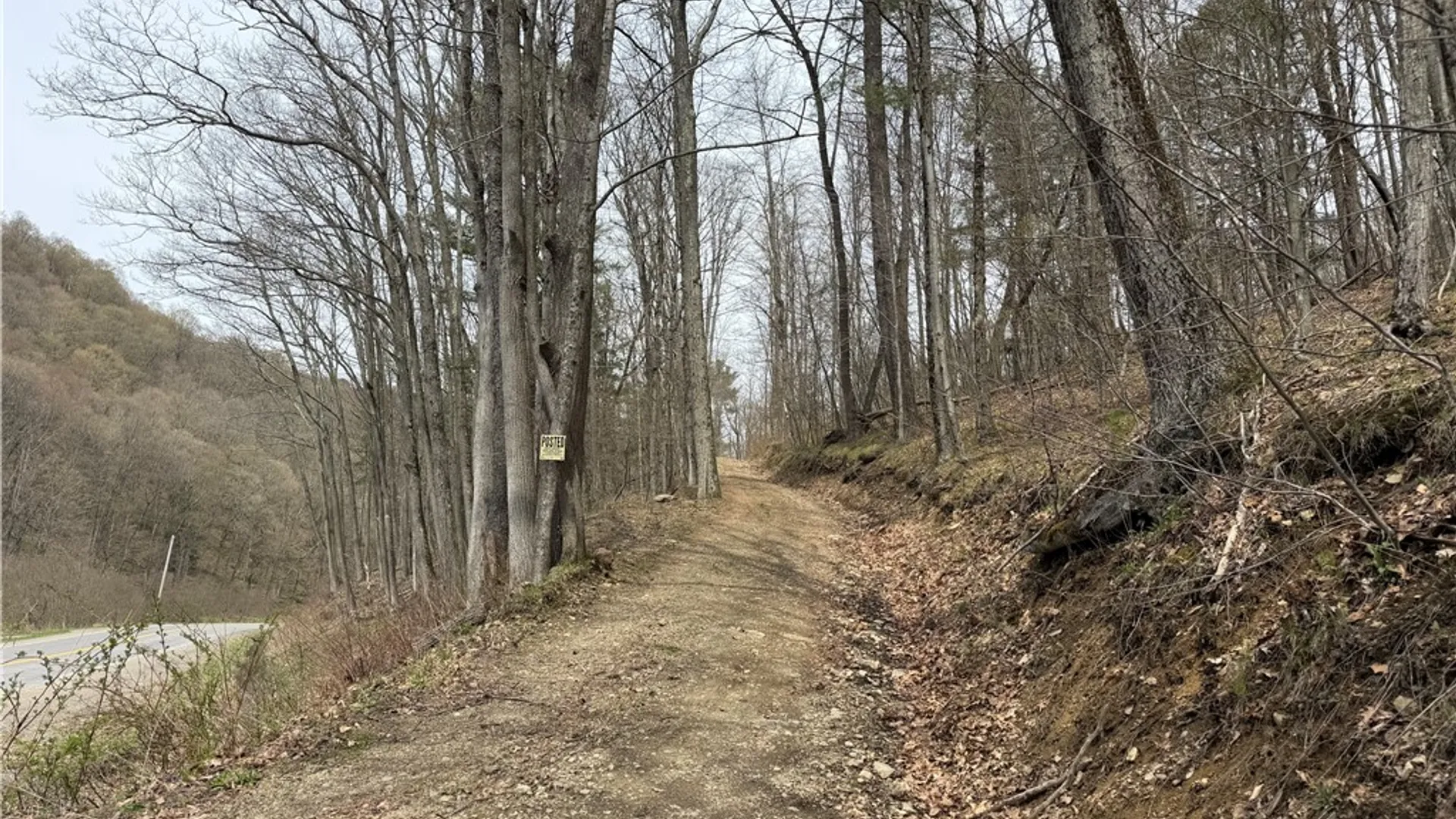 Property at 0 County Route 9, Prattsburgh, NY 14873 3