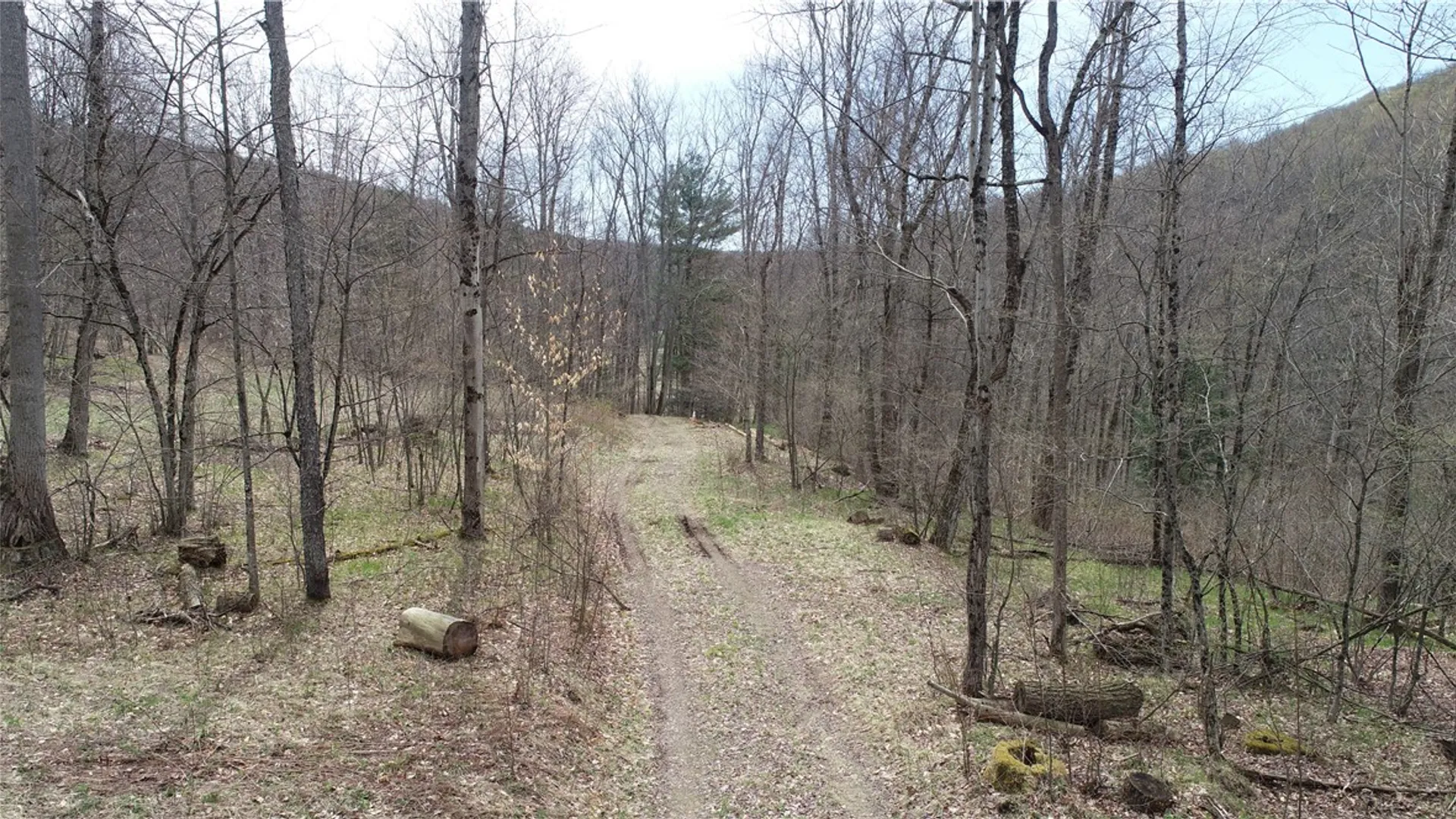 Property at 0 County Route 9, Prattsburgh, NY 14873 4