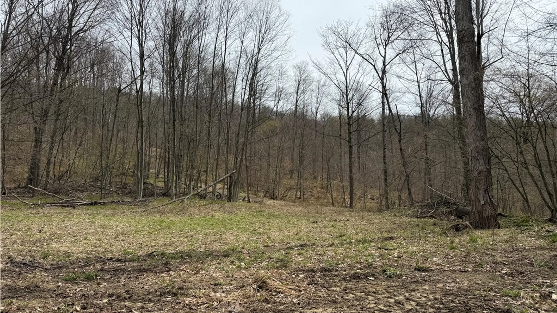 Property at 0 County Route 9, Prattsburgh, NY 14873 5