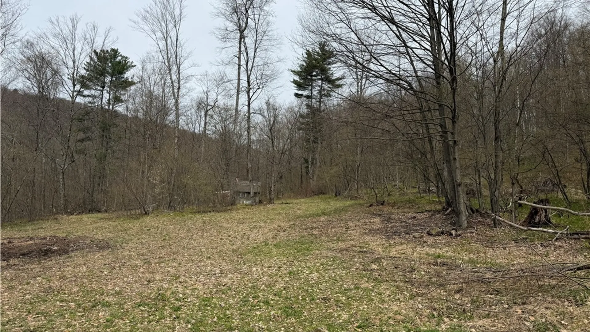 Property at 0 County Route 9, Prattsburgh, NY 14873 6