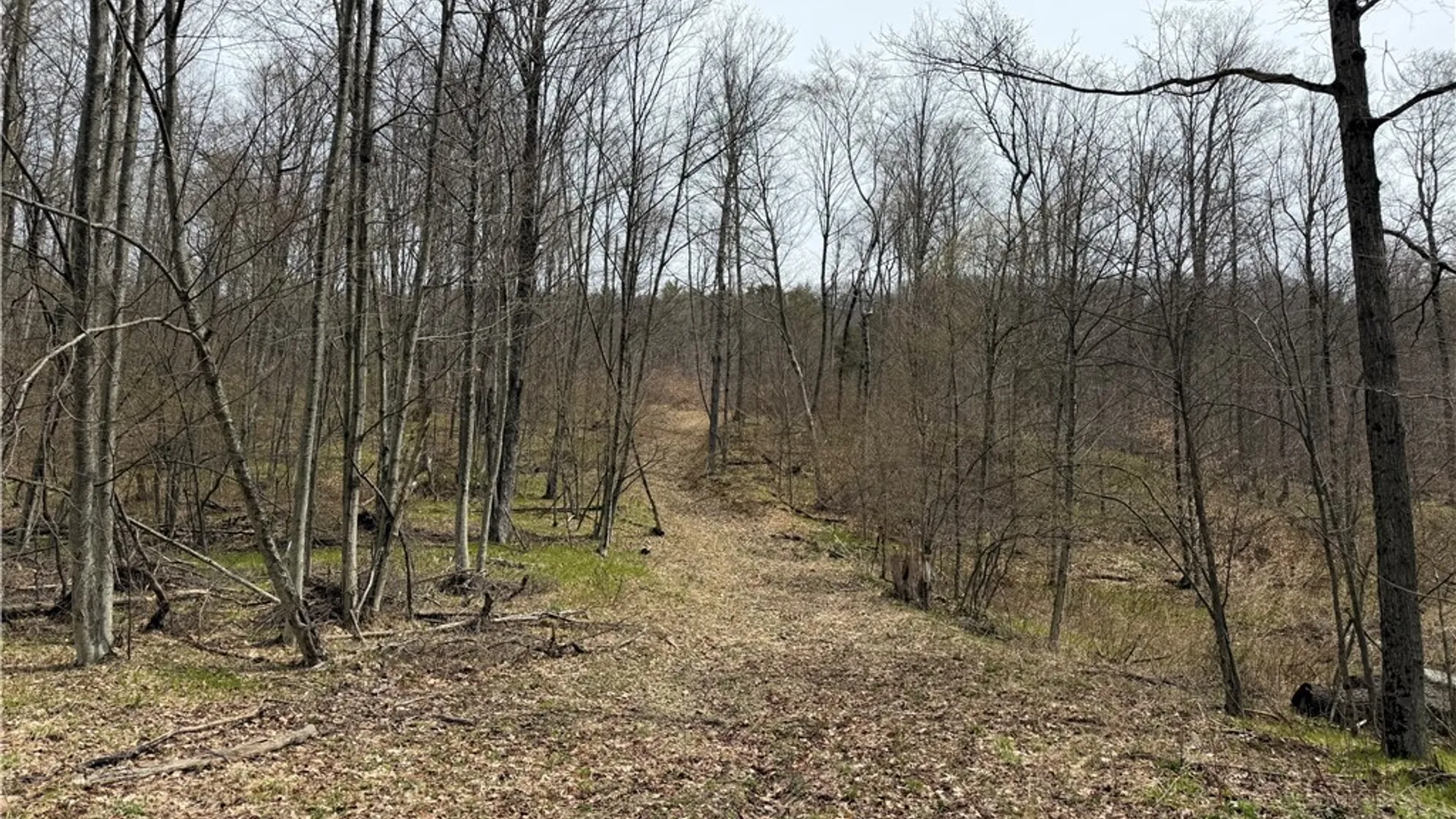 Property at 0 County Route 9, Prattsburgh, NY 14873 8