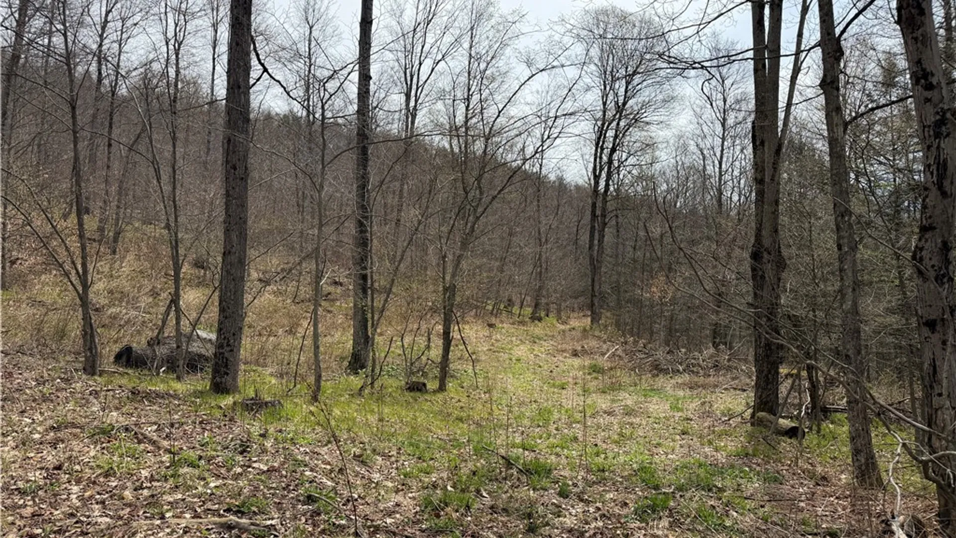 Property at 0 County Route 9, Prattsburgh, NY 14873 9