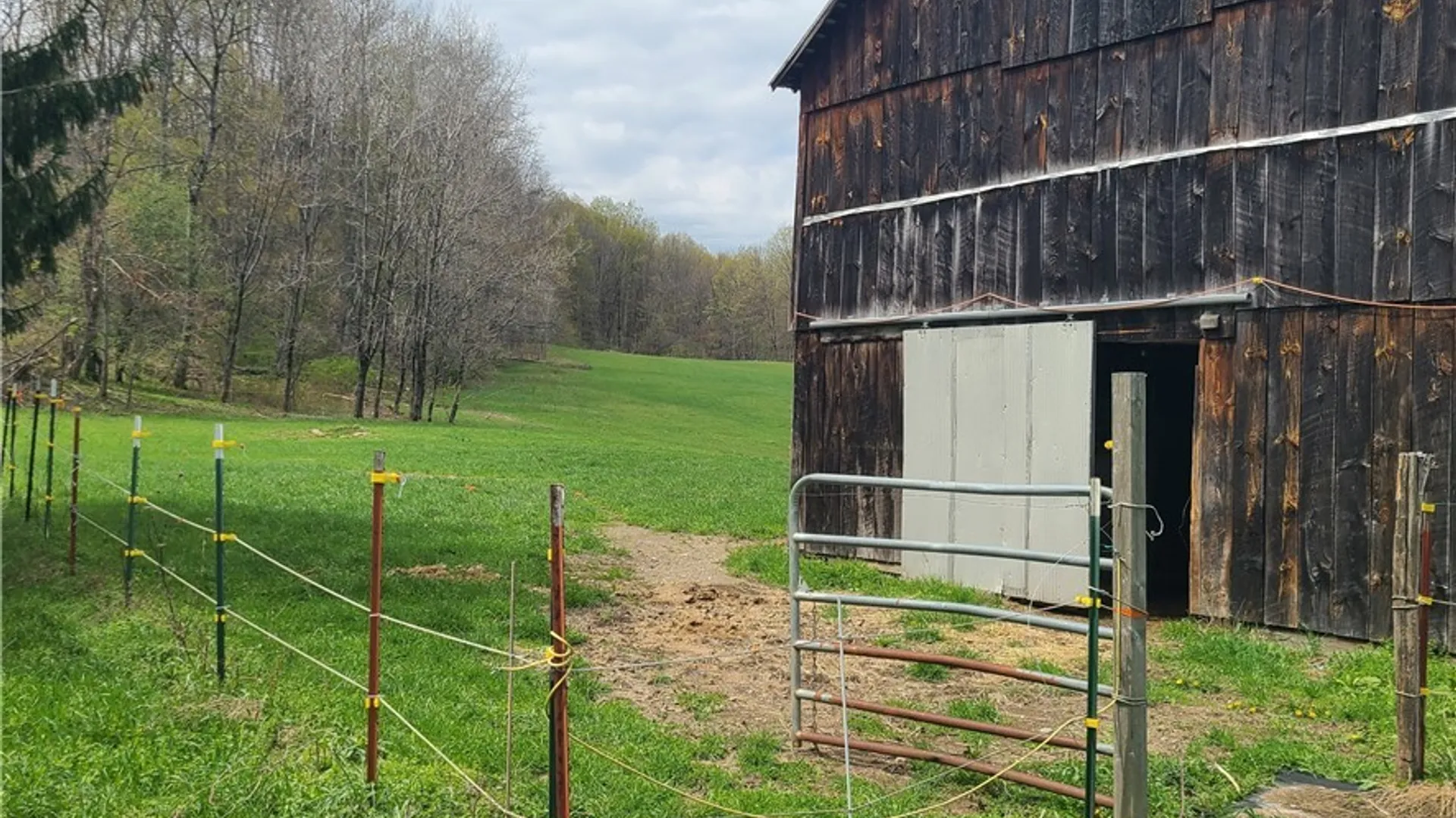 Property at 601 Panama Bear Lake Road, Harmony, NY 14767 26