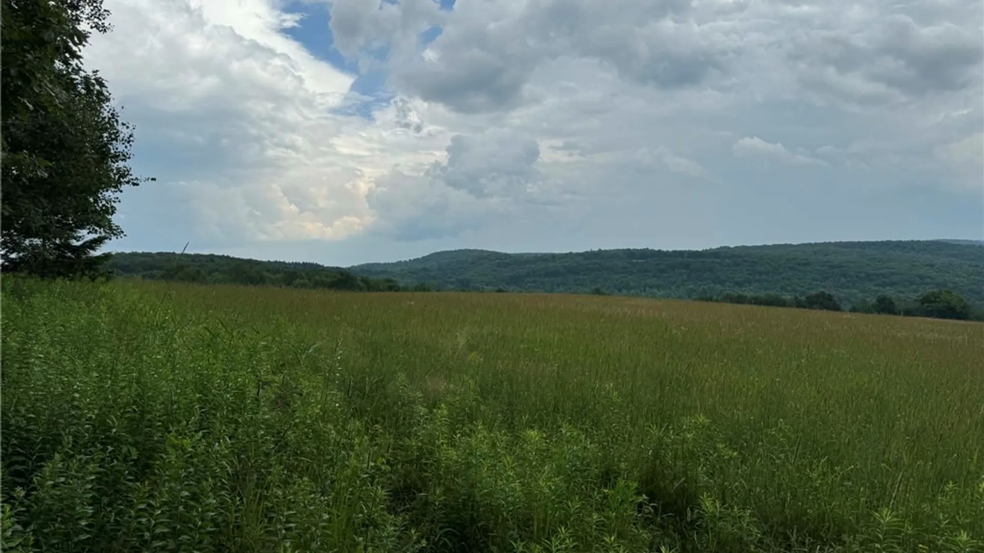 Property at 3776 State Highway 80, Columbus, NY 13460 10