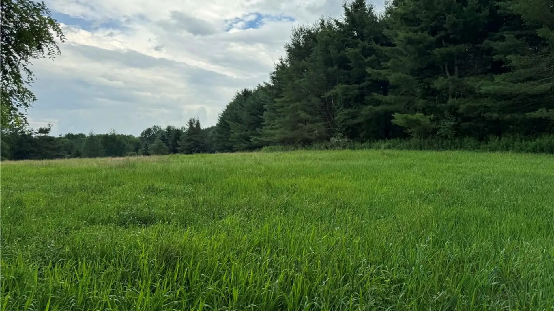 Property at 3776 State Highway 80, Columbus, NY 13460 13