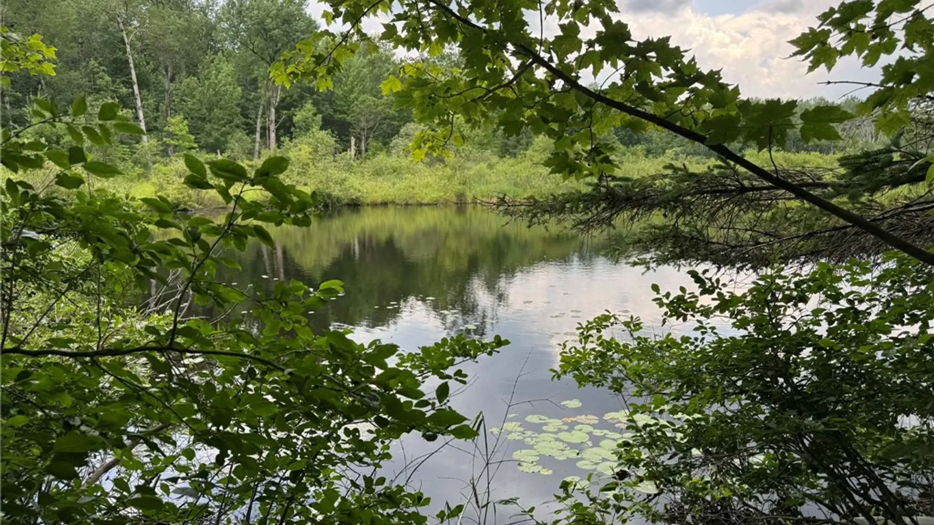 Property at 3776 State Highway 80, Columbus, NY 13460 14