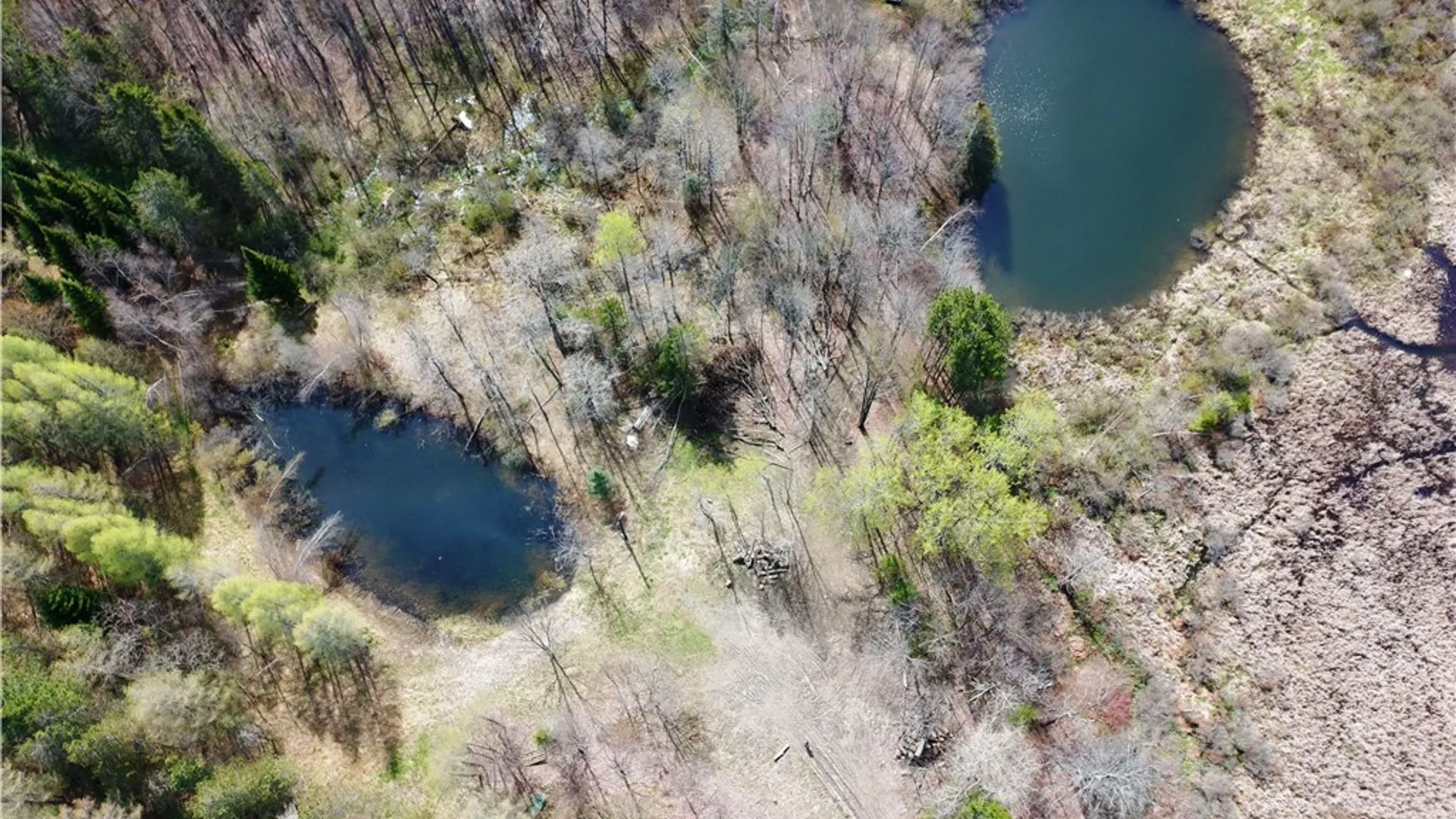 Property at 3776 State Highway 80, Columbus, NY 13460 15